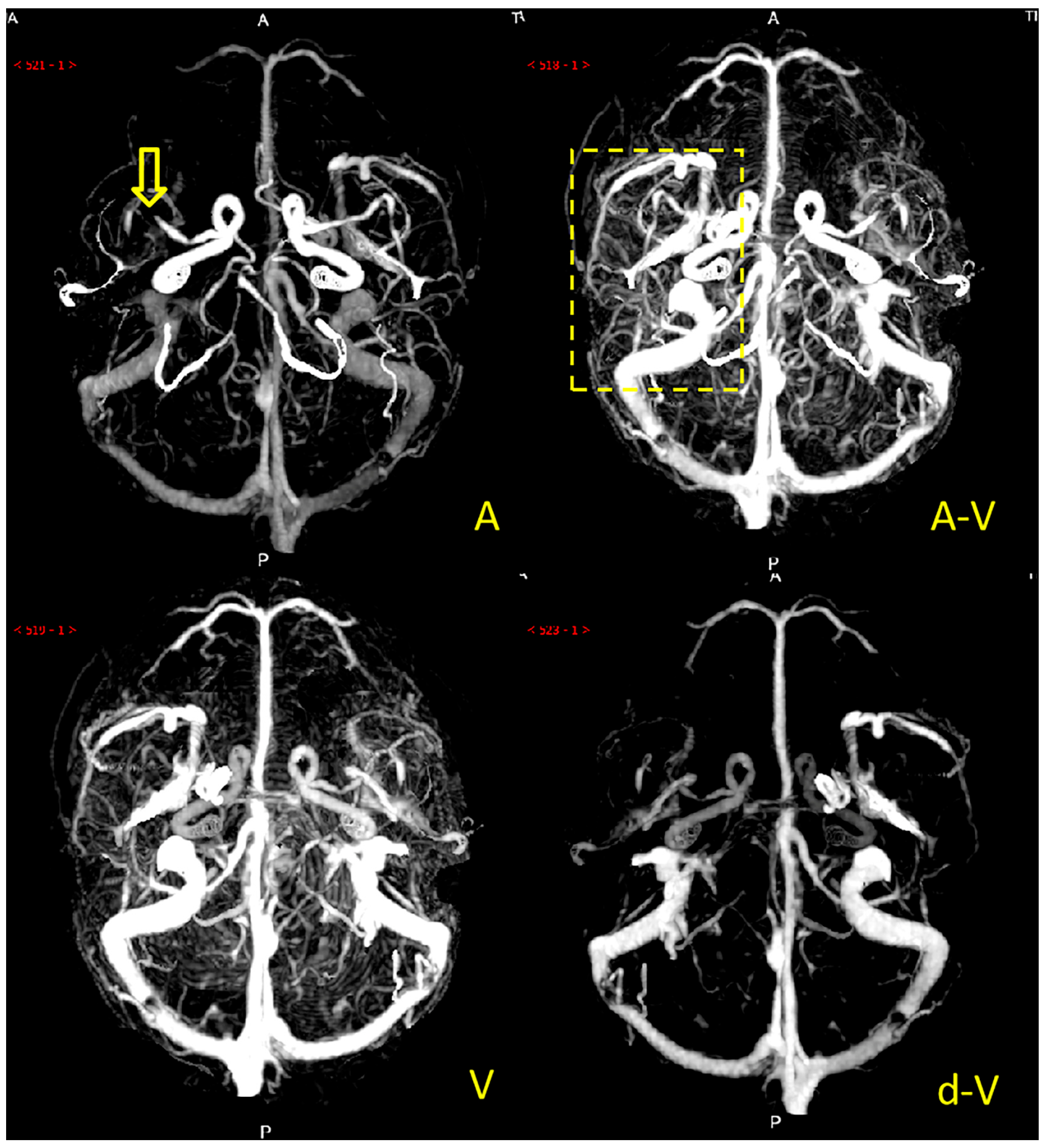Diagnostics 12 01562 g003 550