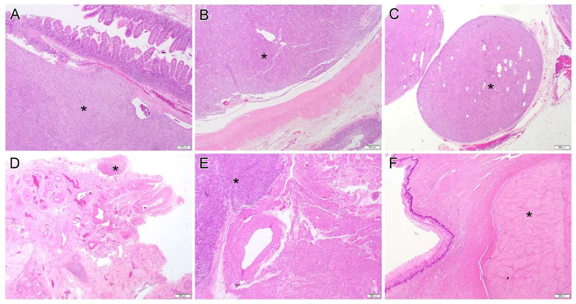 Diagnostics 12 01563 g001