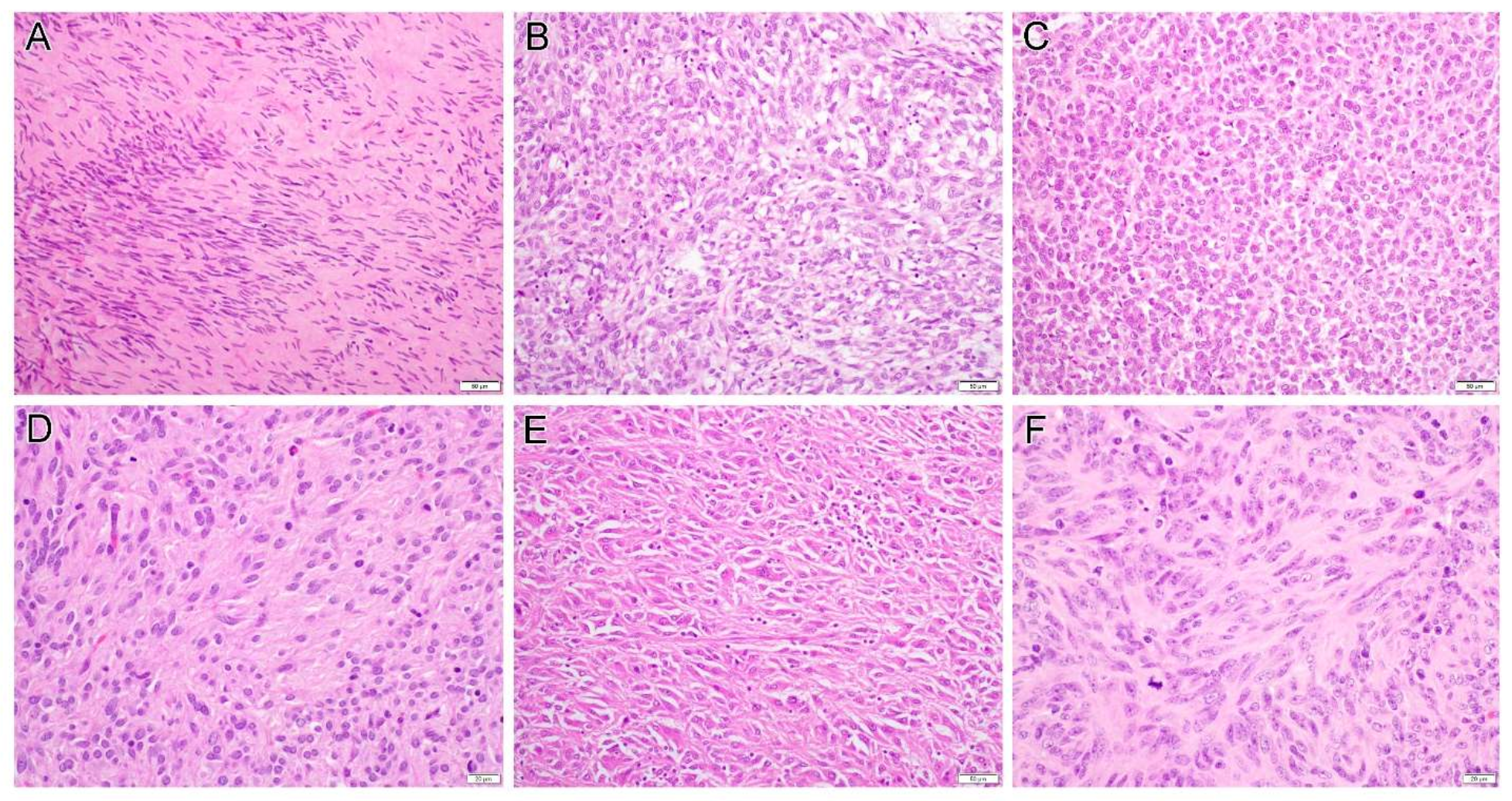 Diagnostics 12 01563 g002