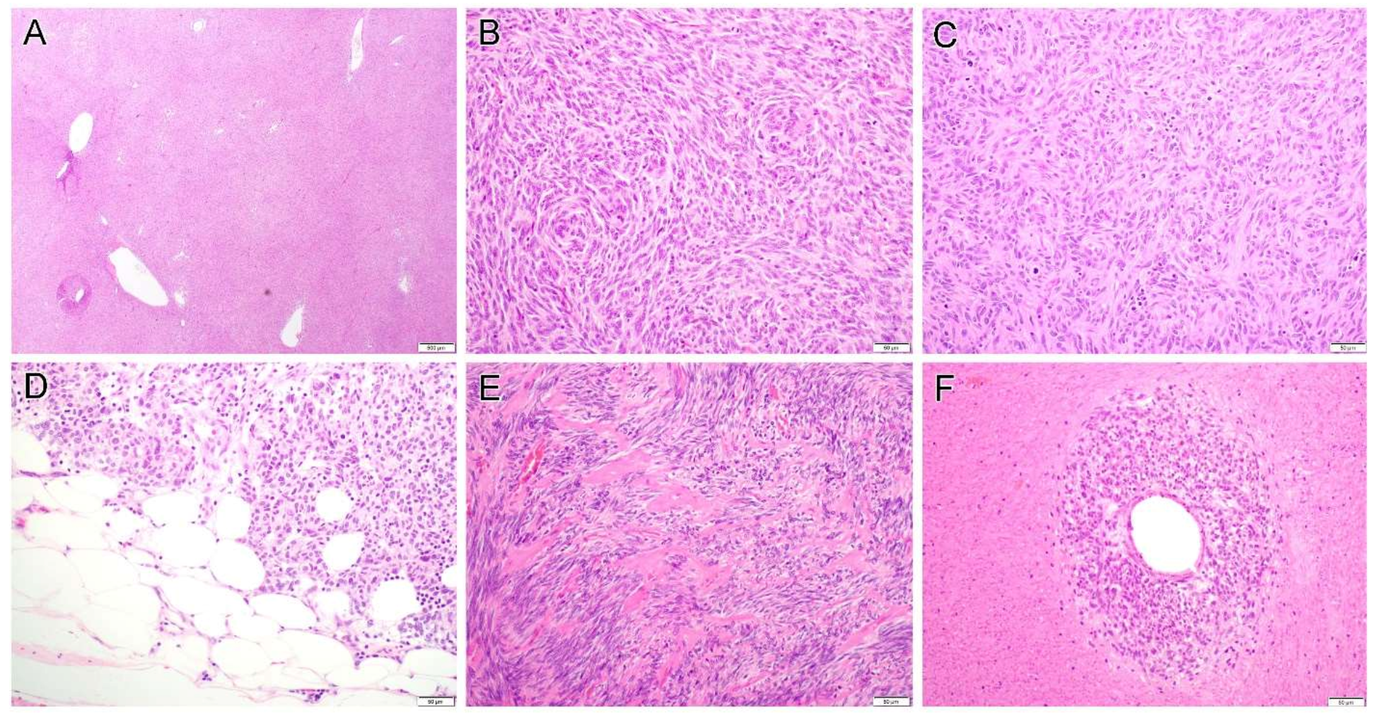 Diagnostics 12 01563 g003
