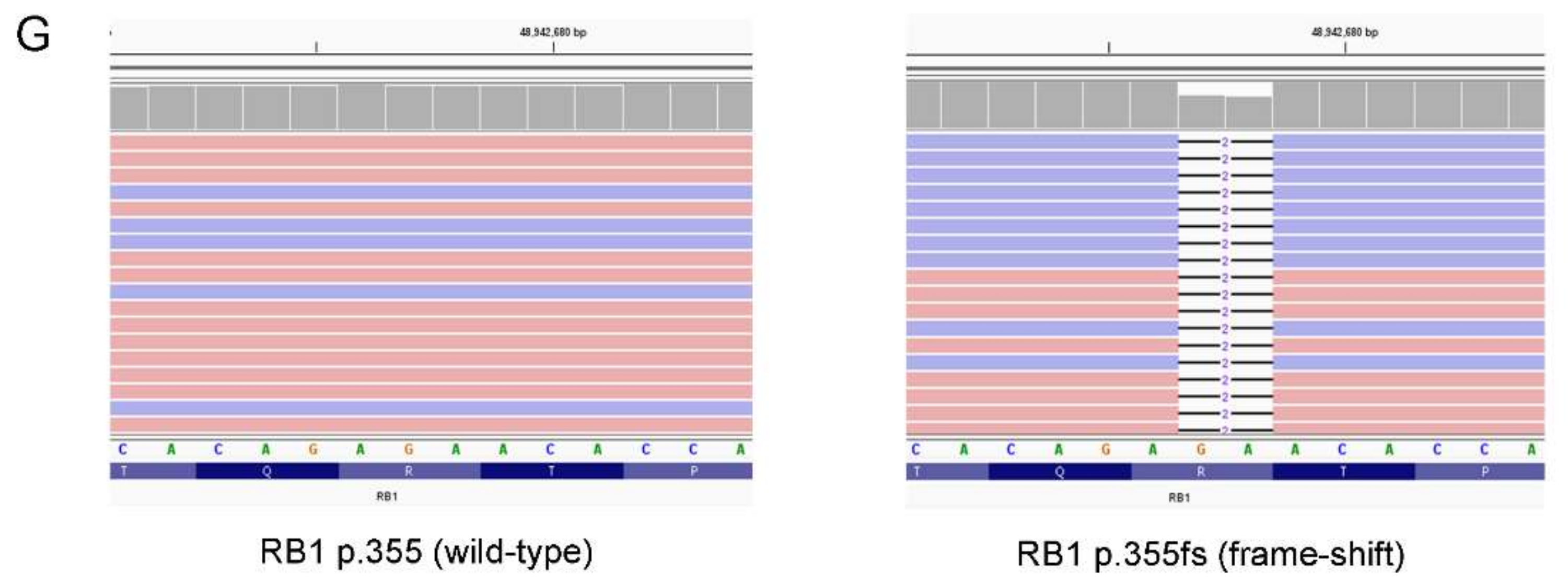 Diagnostics 12 01563 g004b