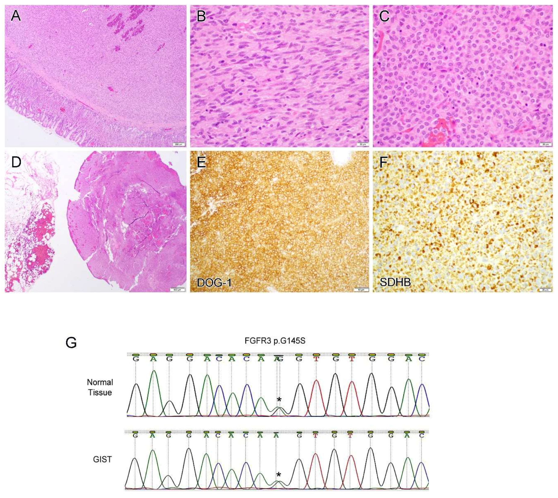 Diagnostics 12 01563 g005