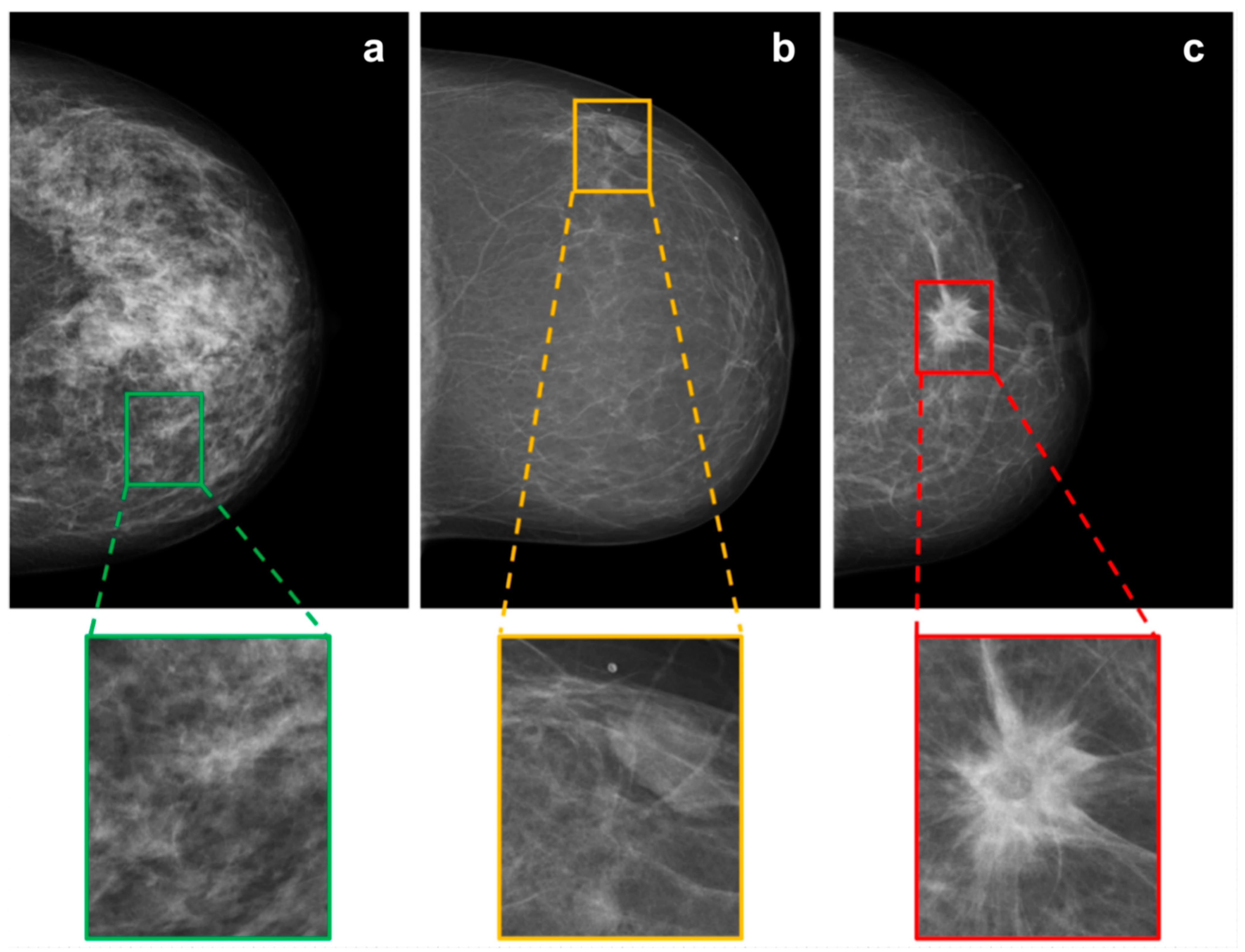 Diagnostics 12 01564 g002 550