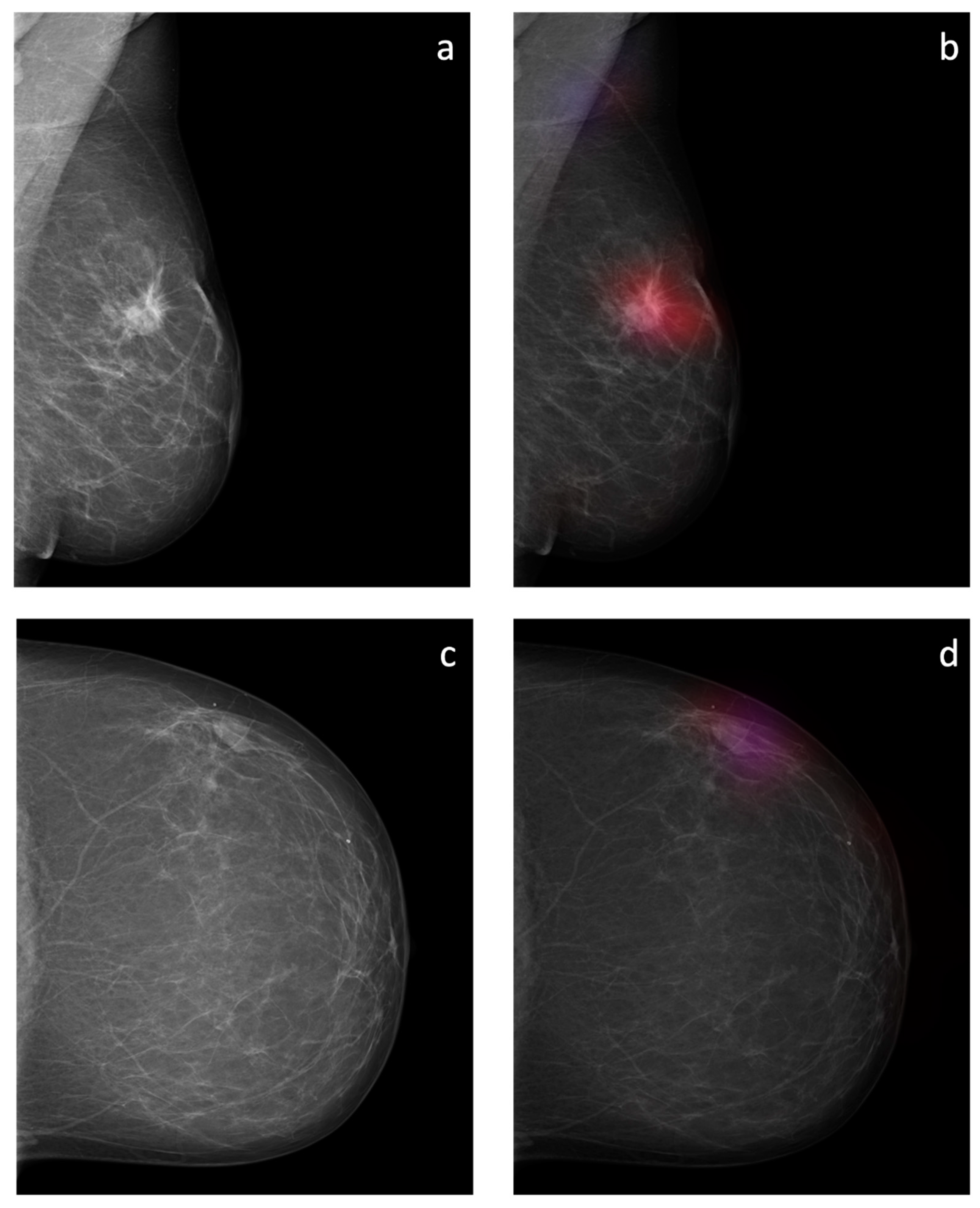 Diagnostics 12 01564 g008 550