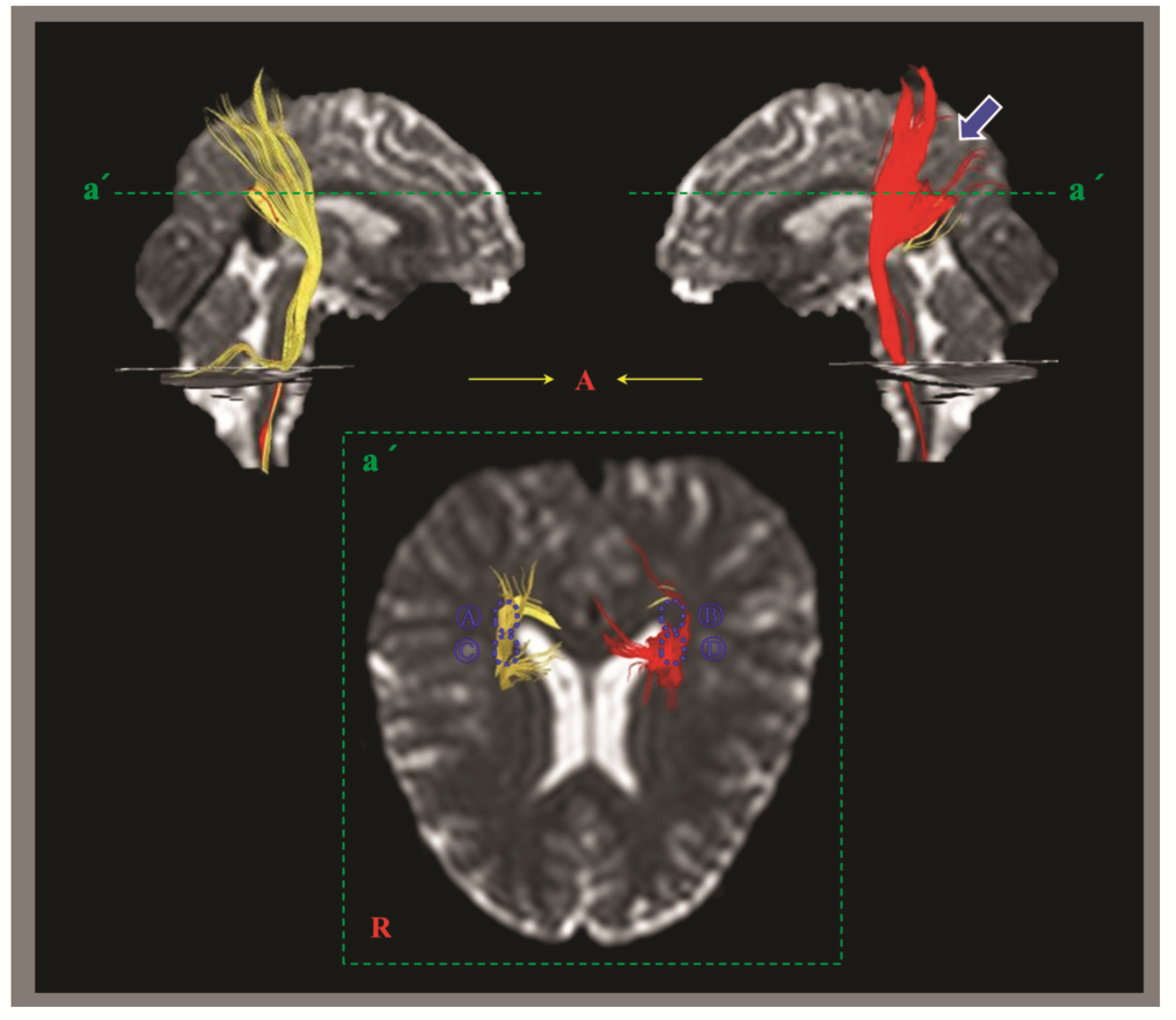 Diagnostics 12 01580 g002 550