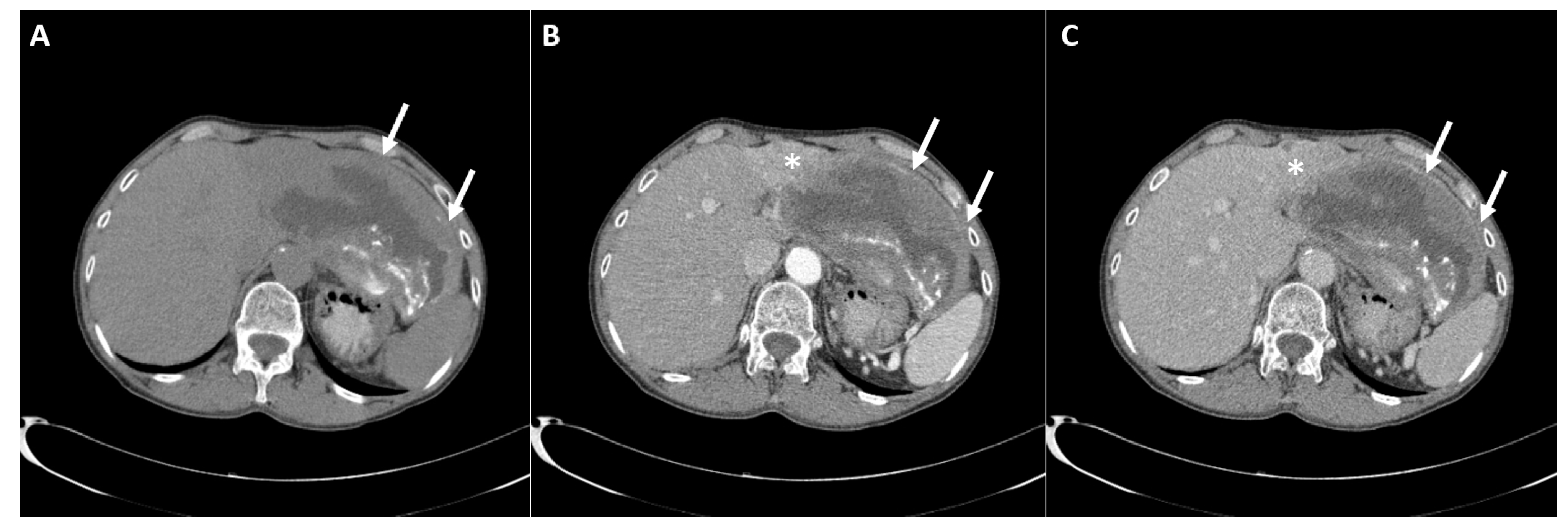 Diagnostics 12 01583 g001