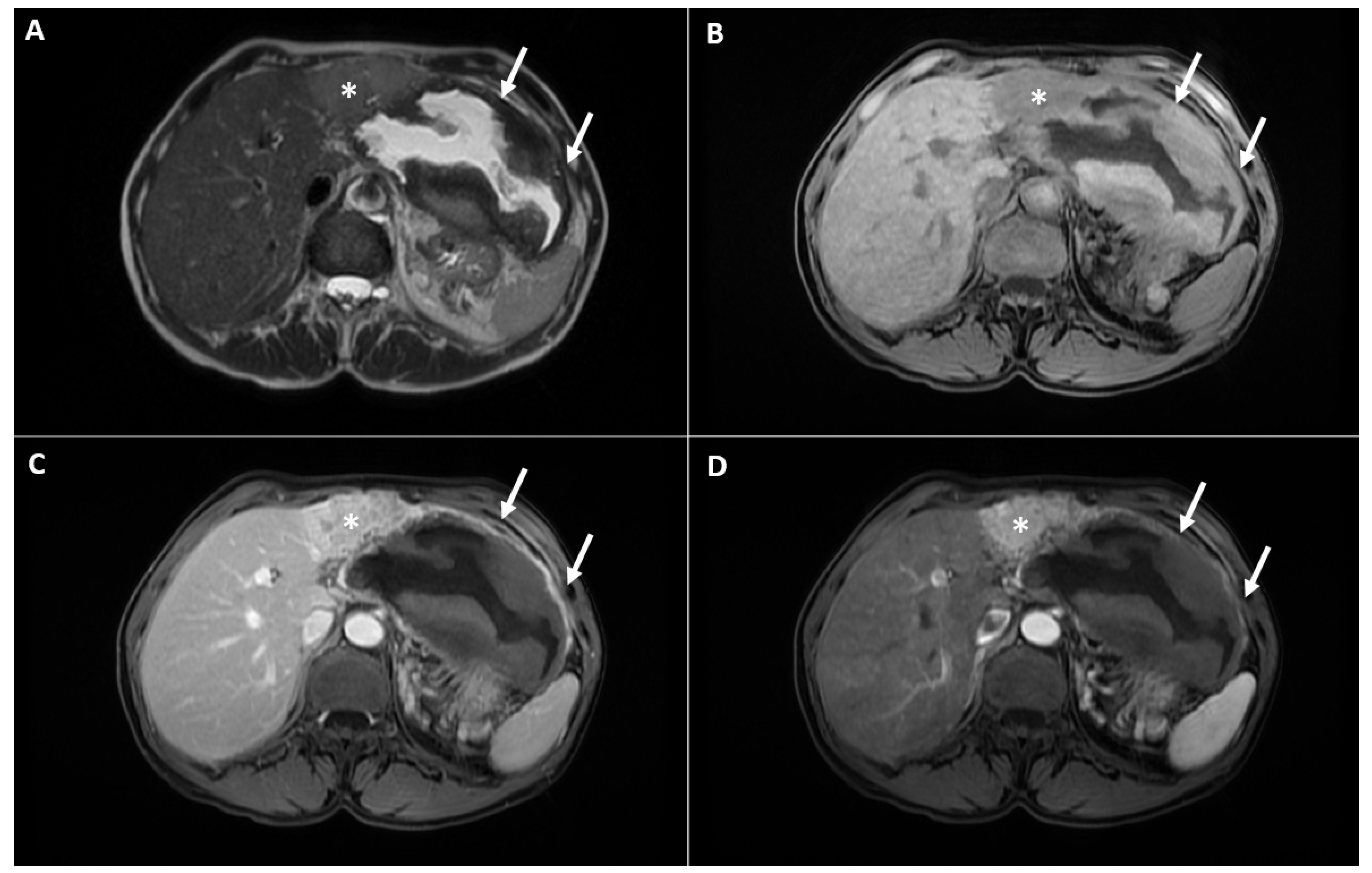 Diagnostics 12 01583 g002