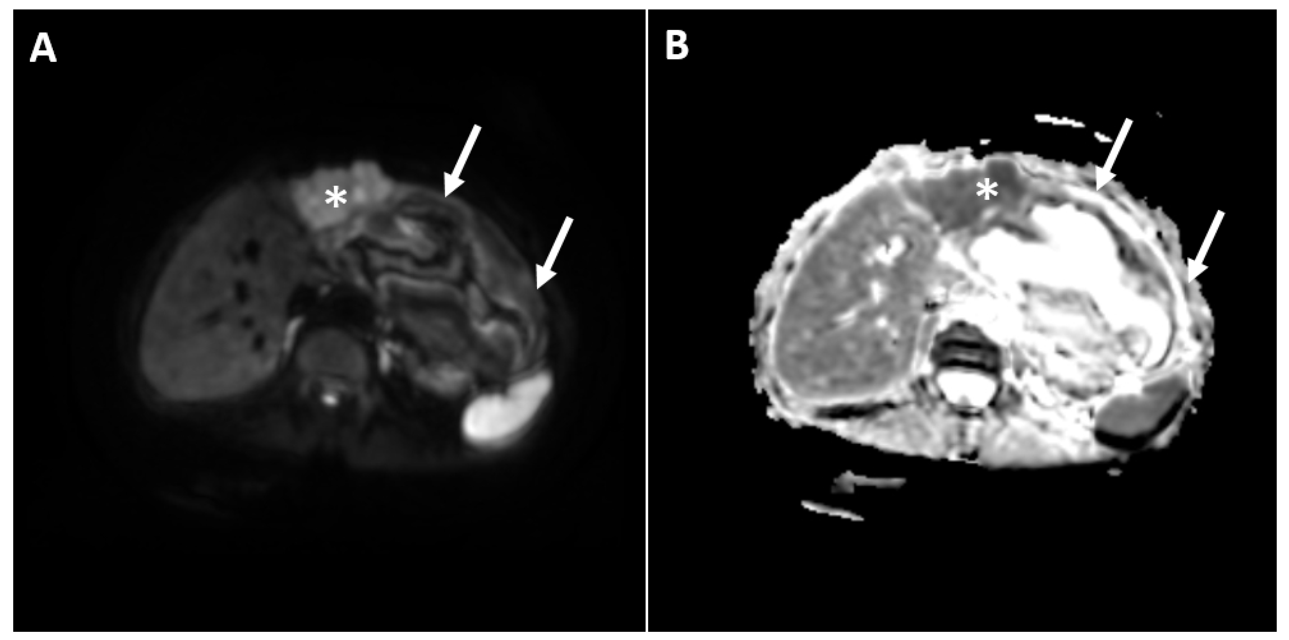Diagnostics 12 01583 g003
