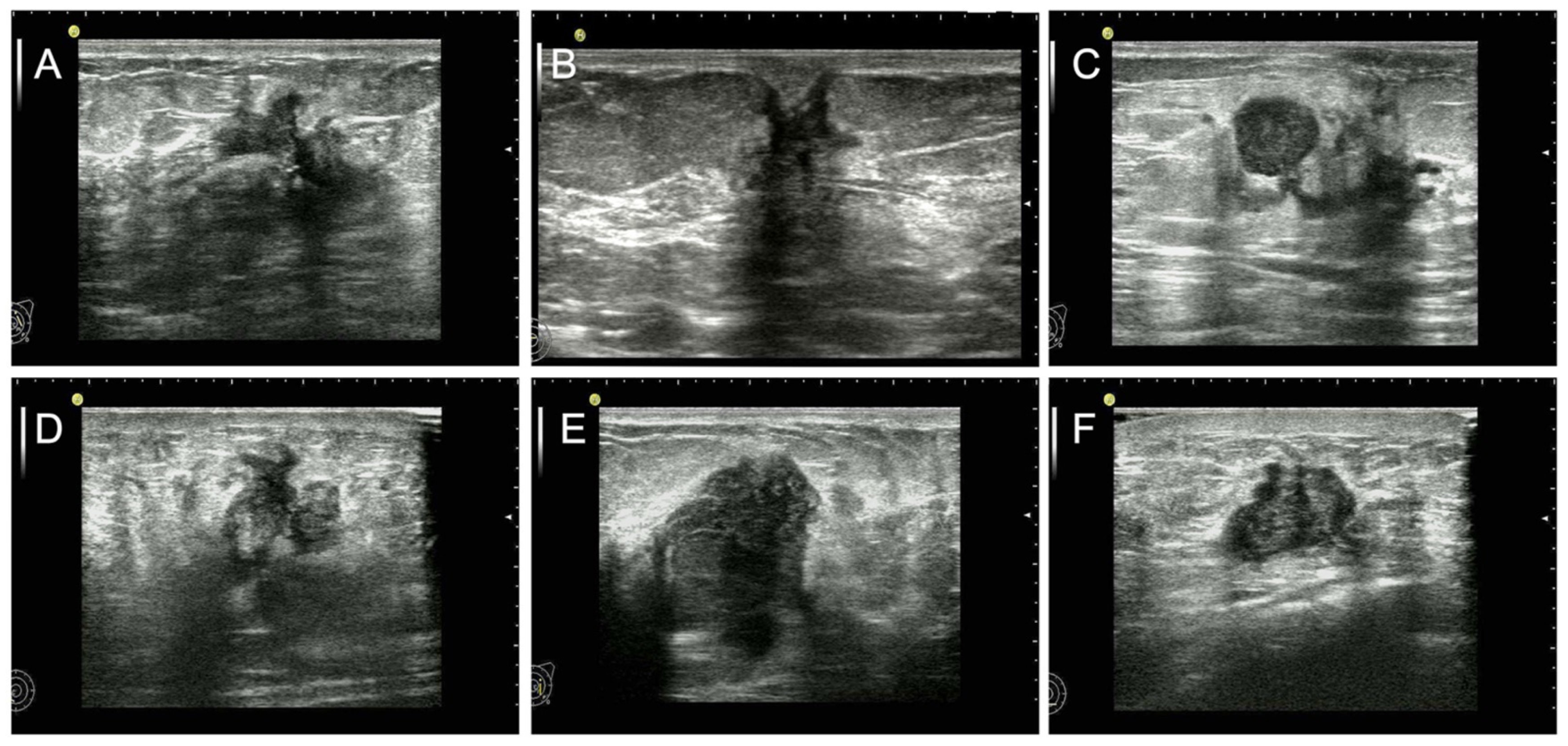 Diagnostics 12 01587 g001