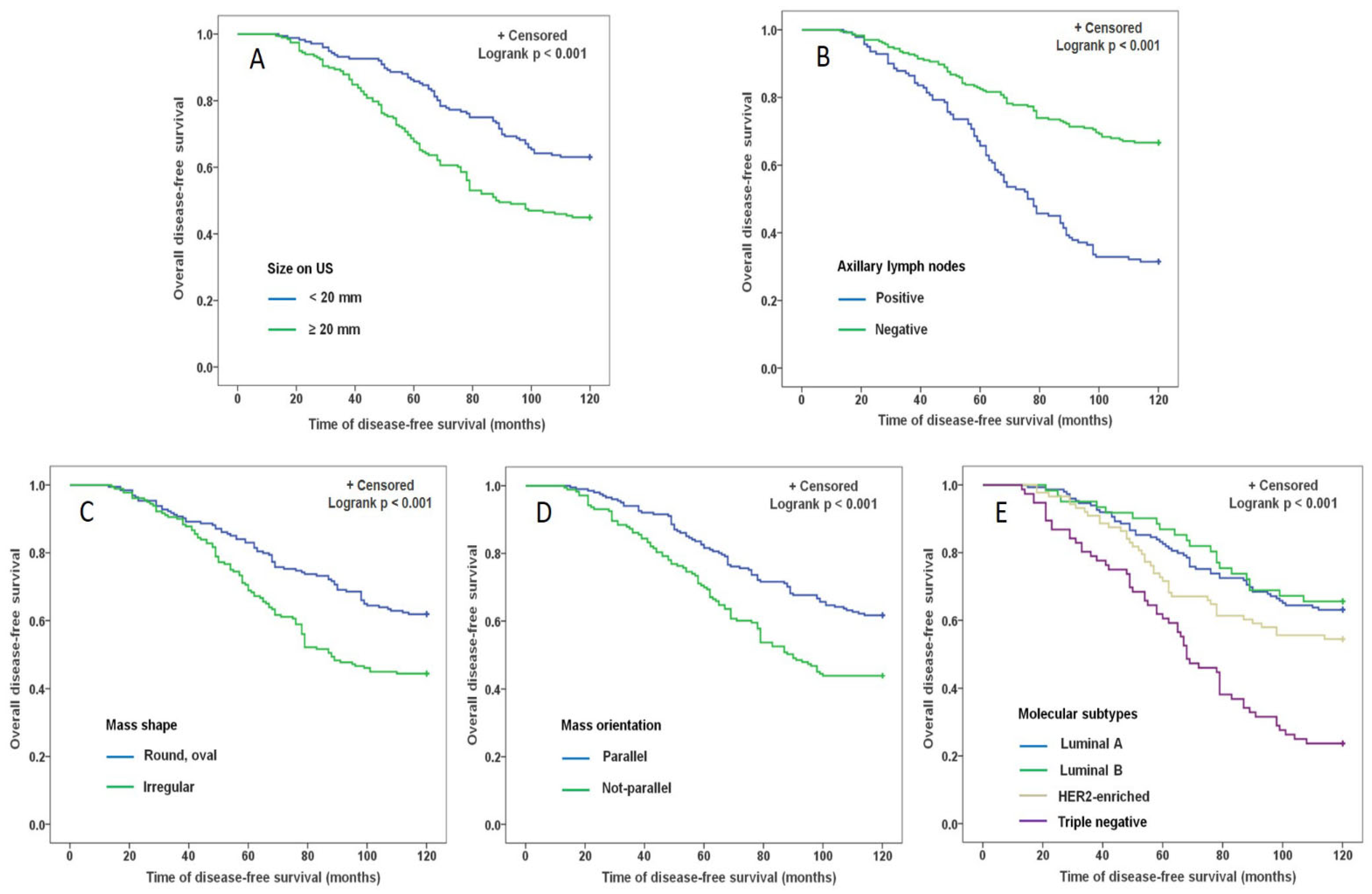 Diagnostics 12 01587 g003