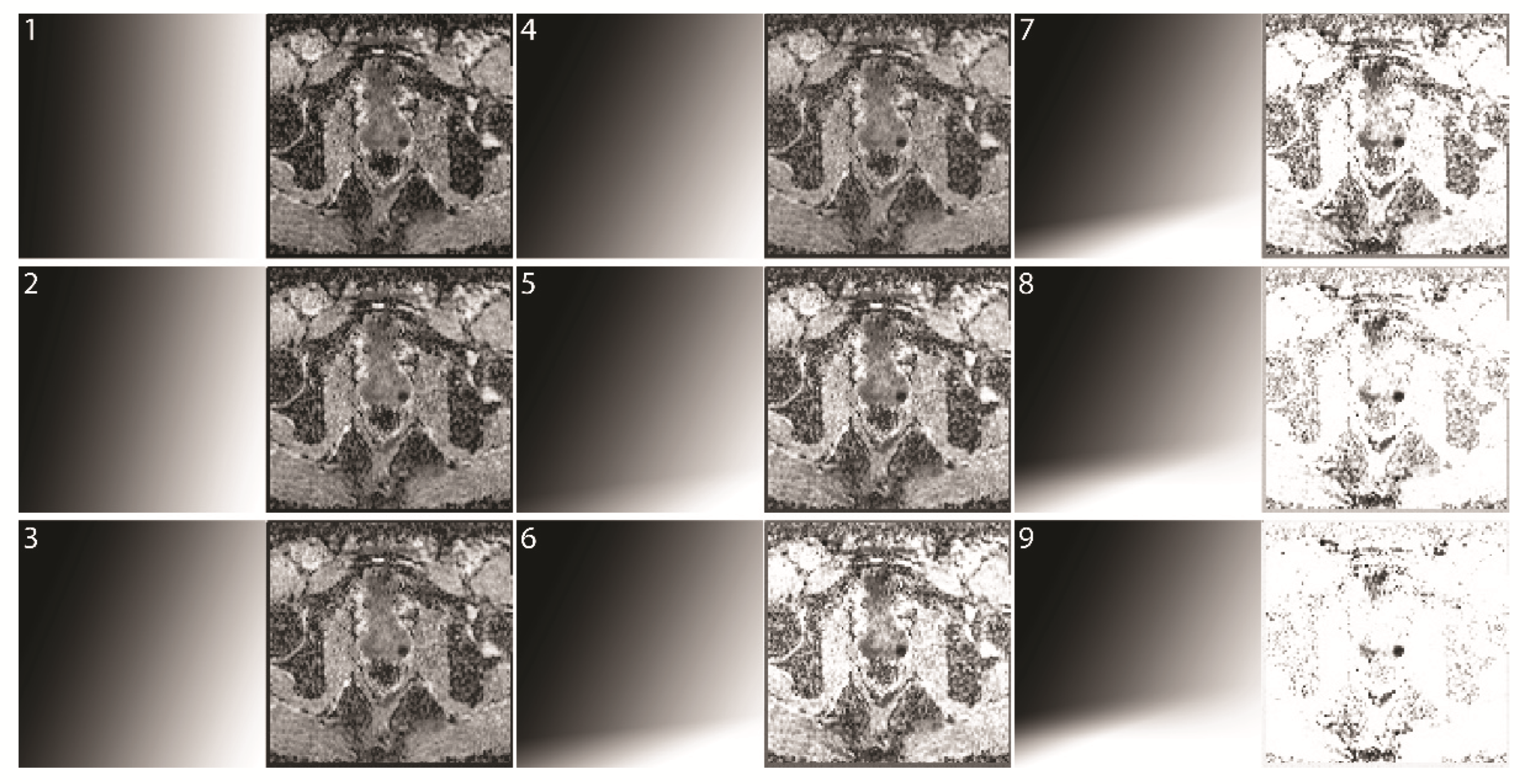 Diagnostics 12 01592 g004 550
