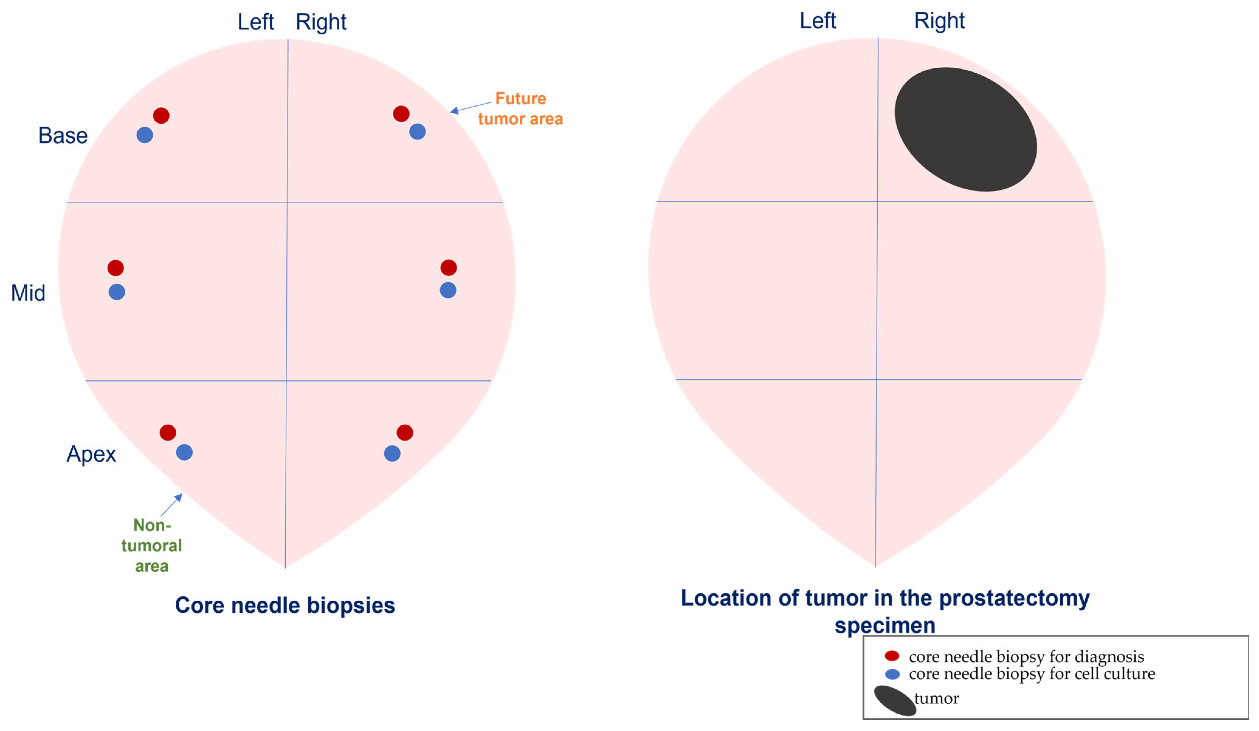 Diagnostics 12 01605 g001 Diagnostics 12 01605 g001