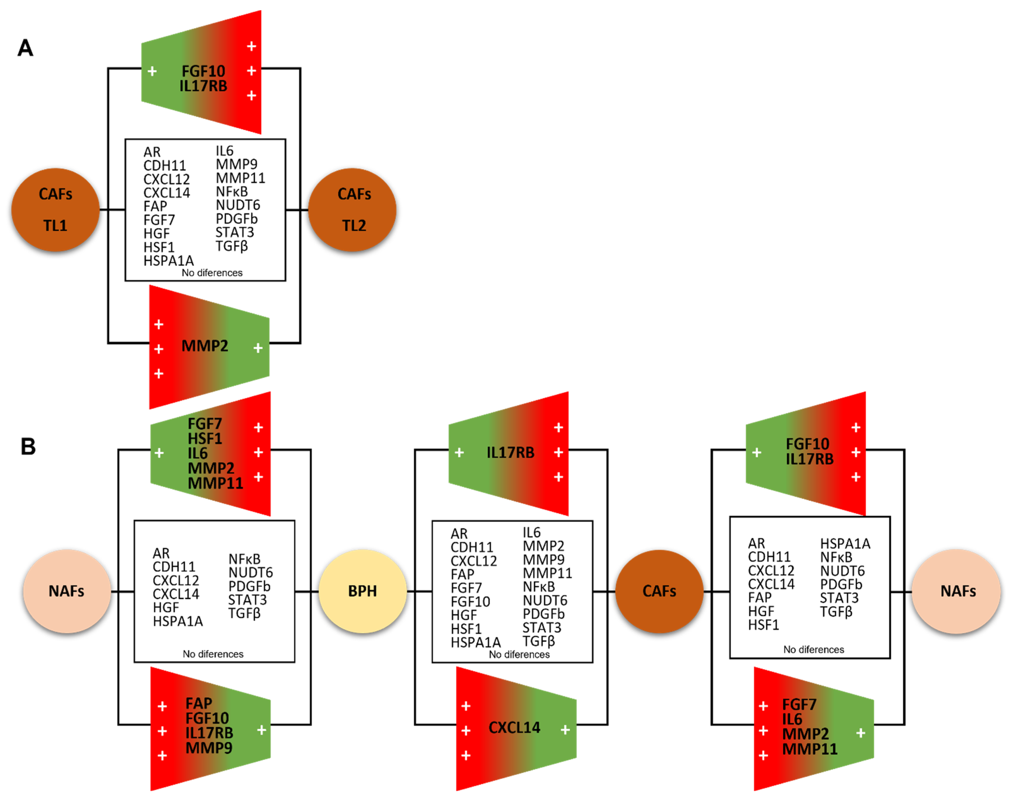 Diagnostics 12 01605 g007 Diagnostics 12 01605 g007