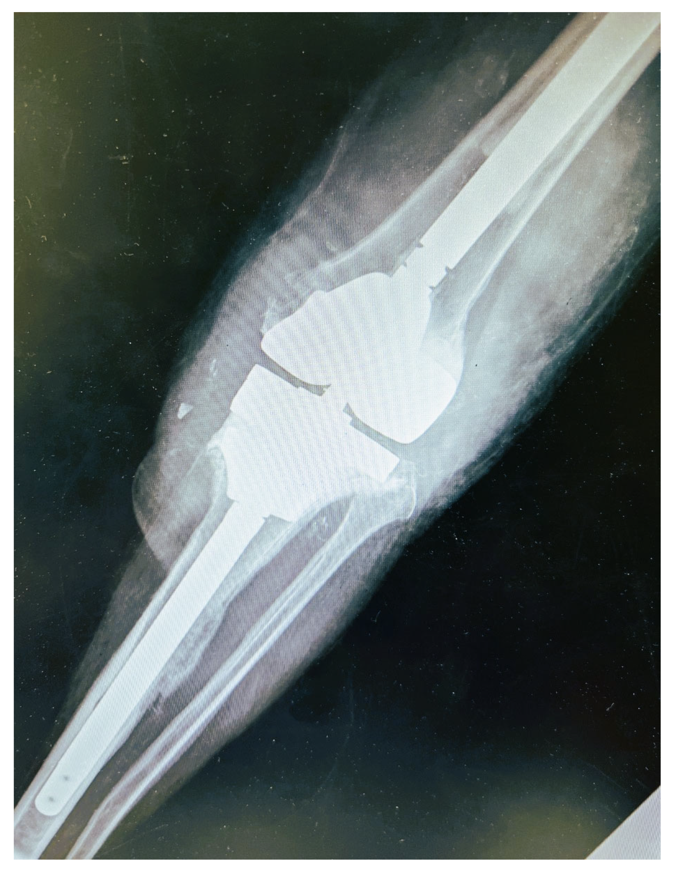 Diagnostics 12 01606 g002