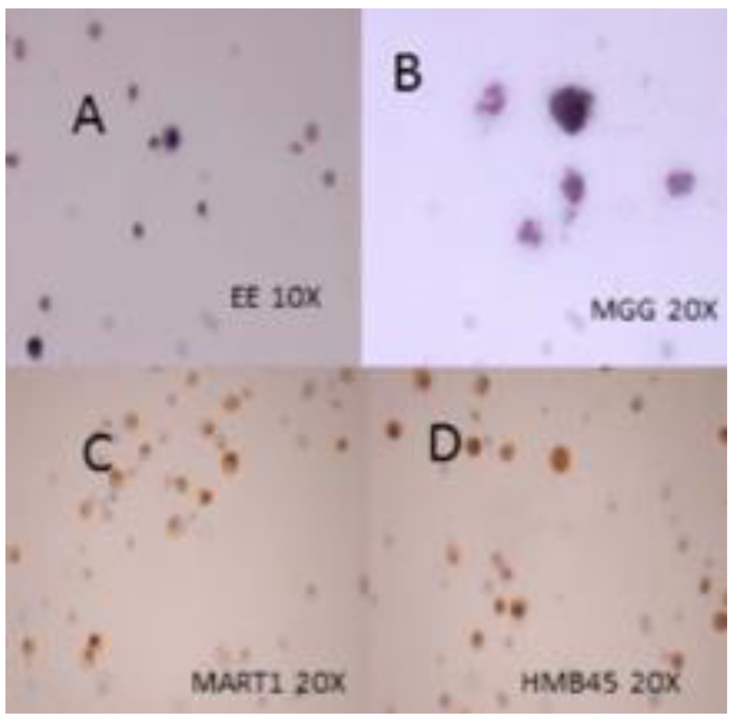 Diagnostics 12 01609 g003