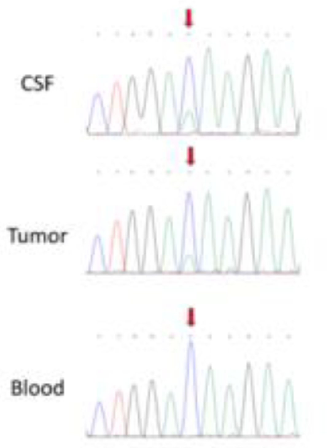 Diagnostics 12 01609 g004