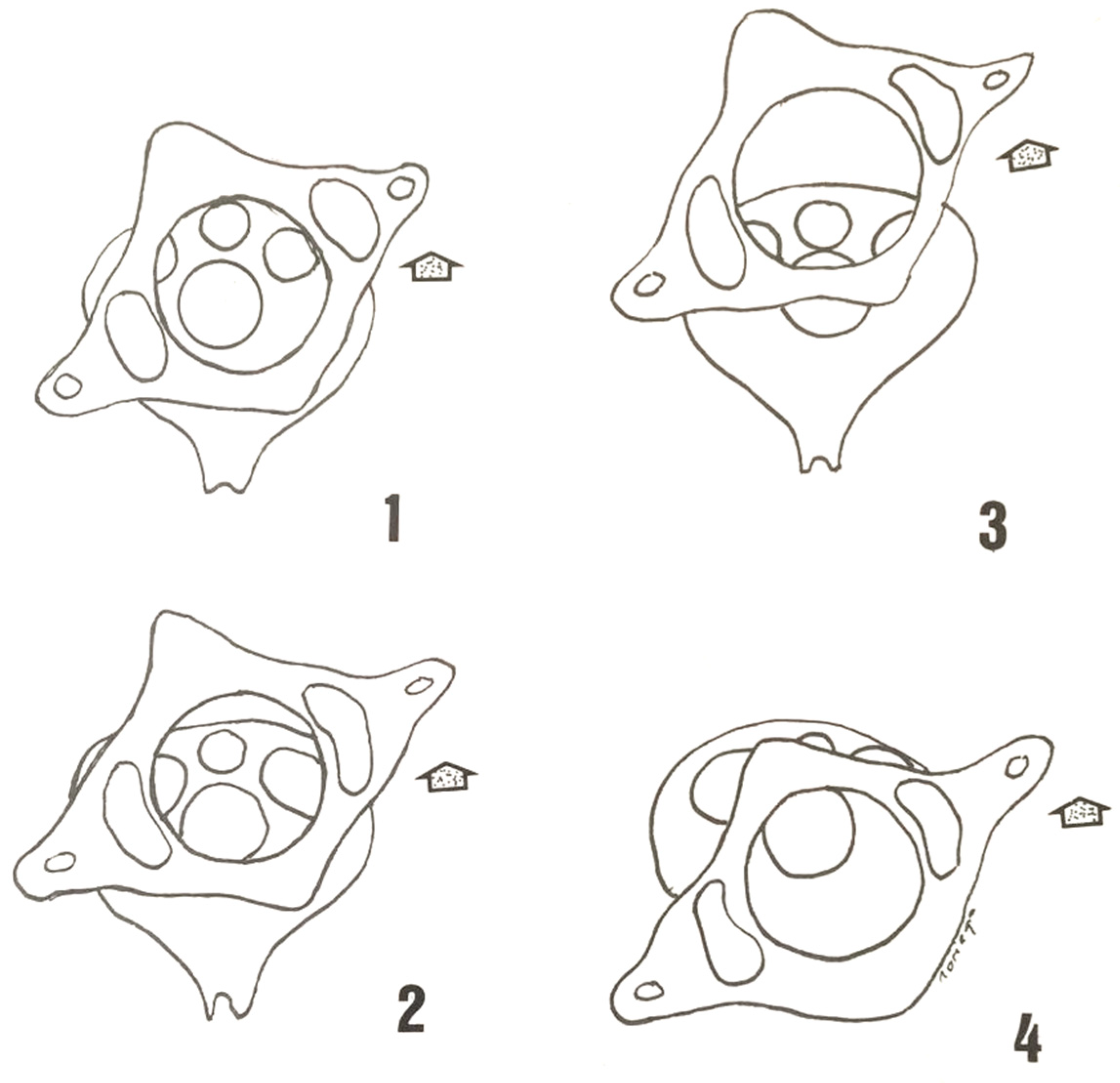 Diagnostics 12 01615 g002 550