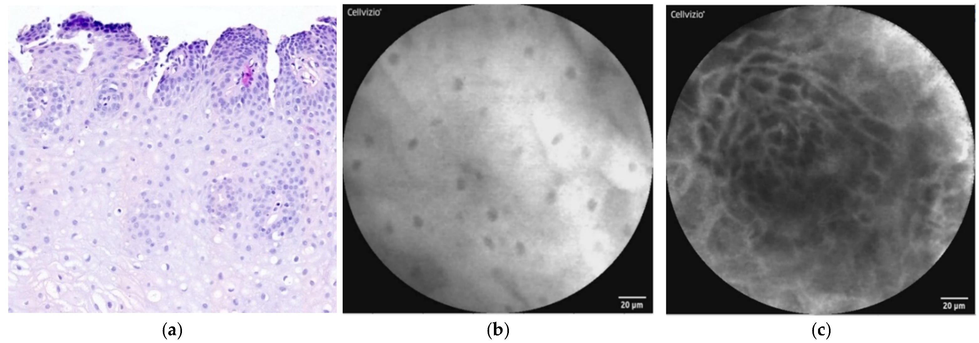 Diagnostics 12 01616 g001