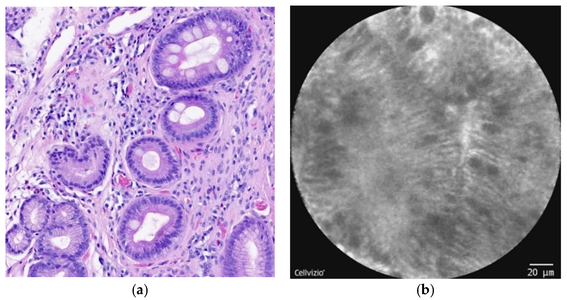 Diagnostics 12 01616 g002