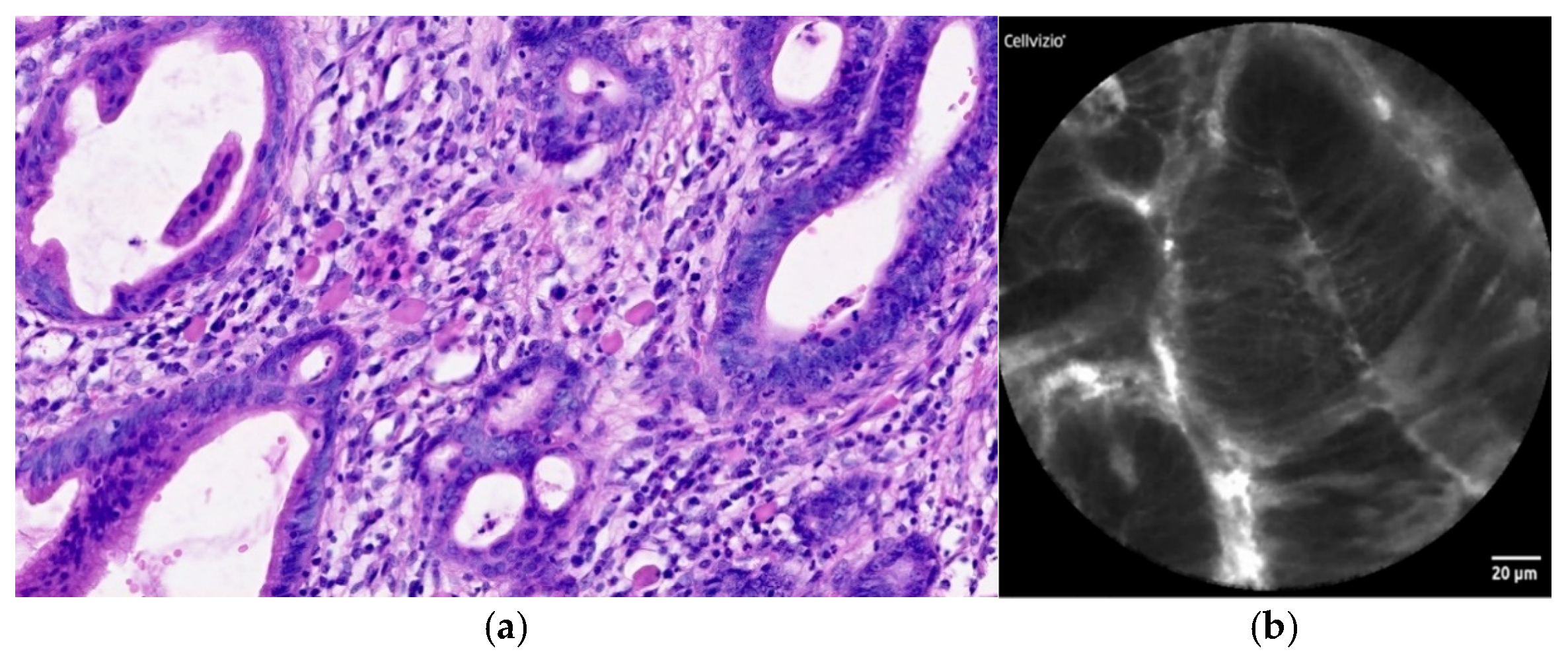 Diagnostics 12 01616 g004