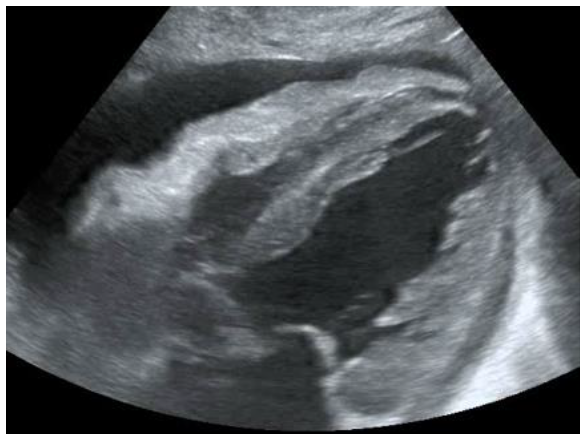 Diagnostics 12 01620 g001