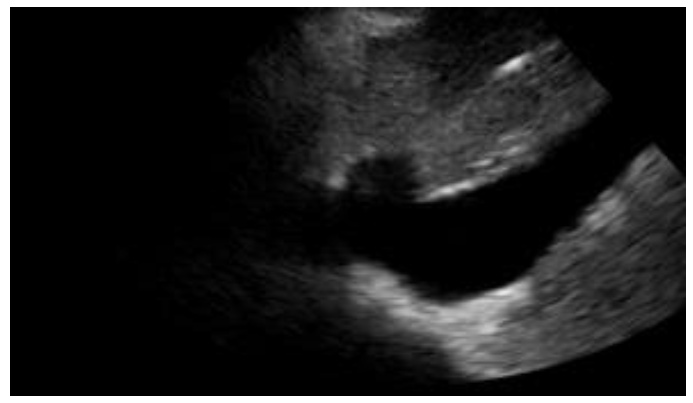 Diagnostics 12 01620 g003