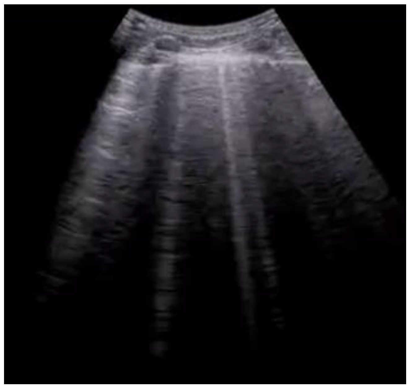 Diagnostics 12 01620 g004