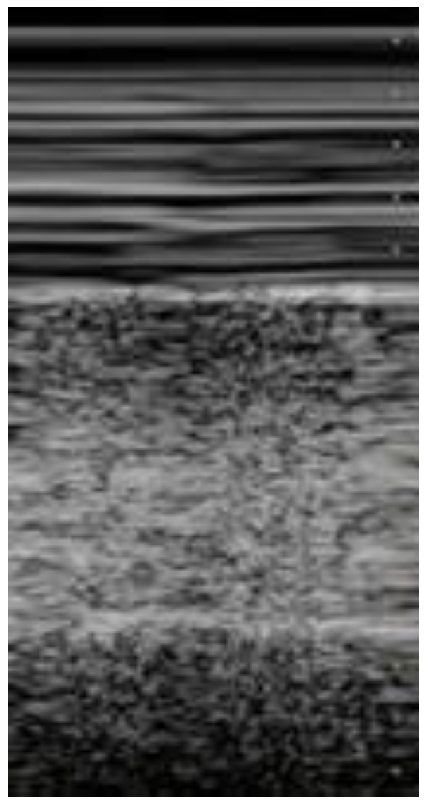 Diagnostics 12 01620 g005