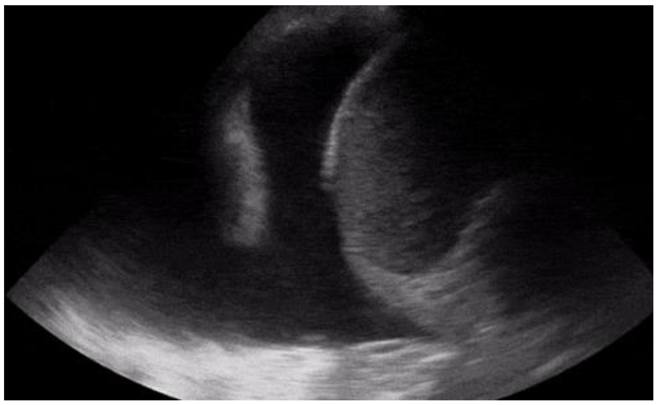 Diagnostics 12 01620 g007