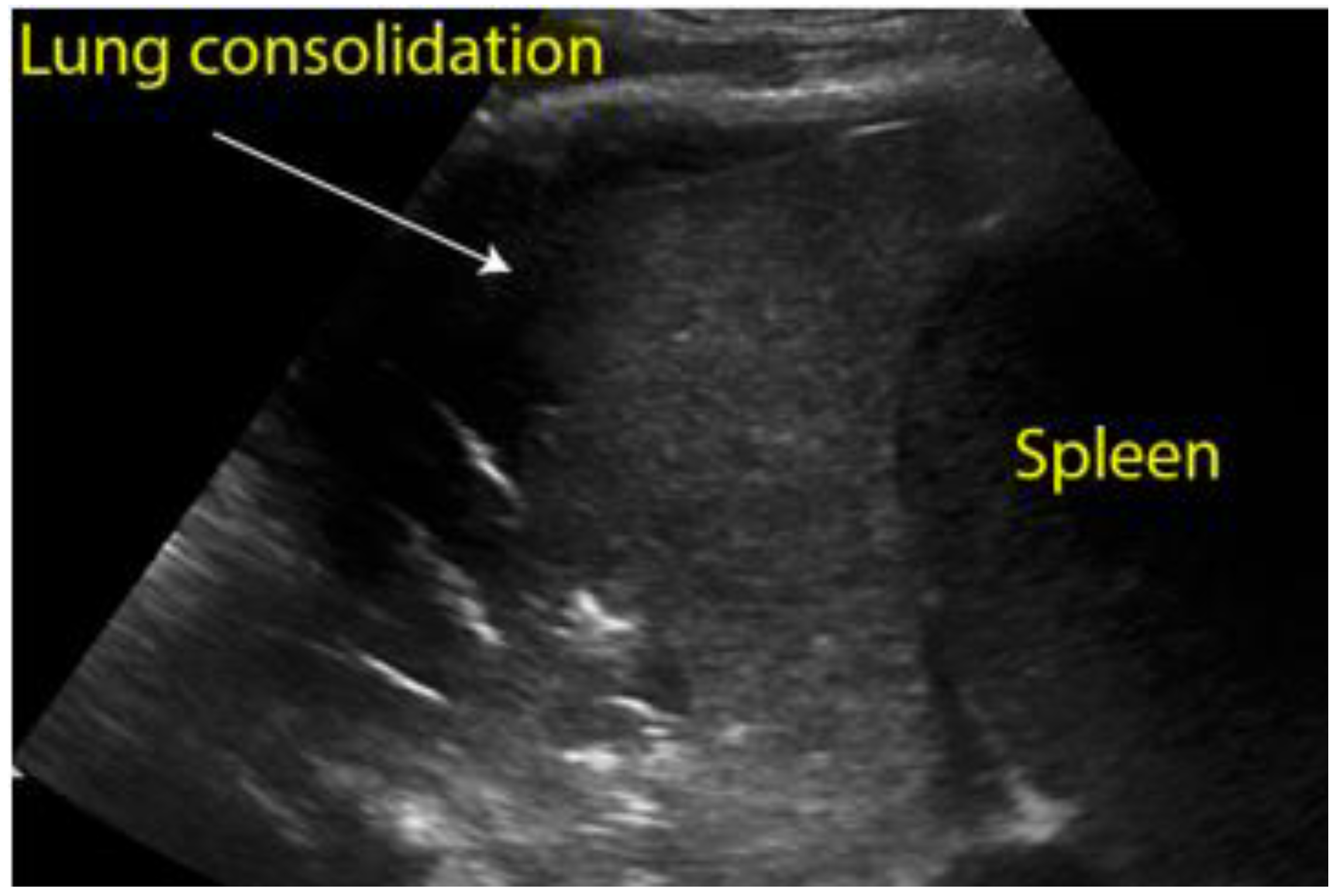 Diagnostics 12 01620 g008
