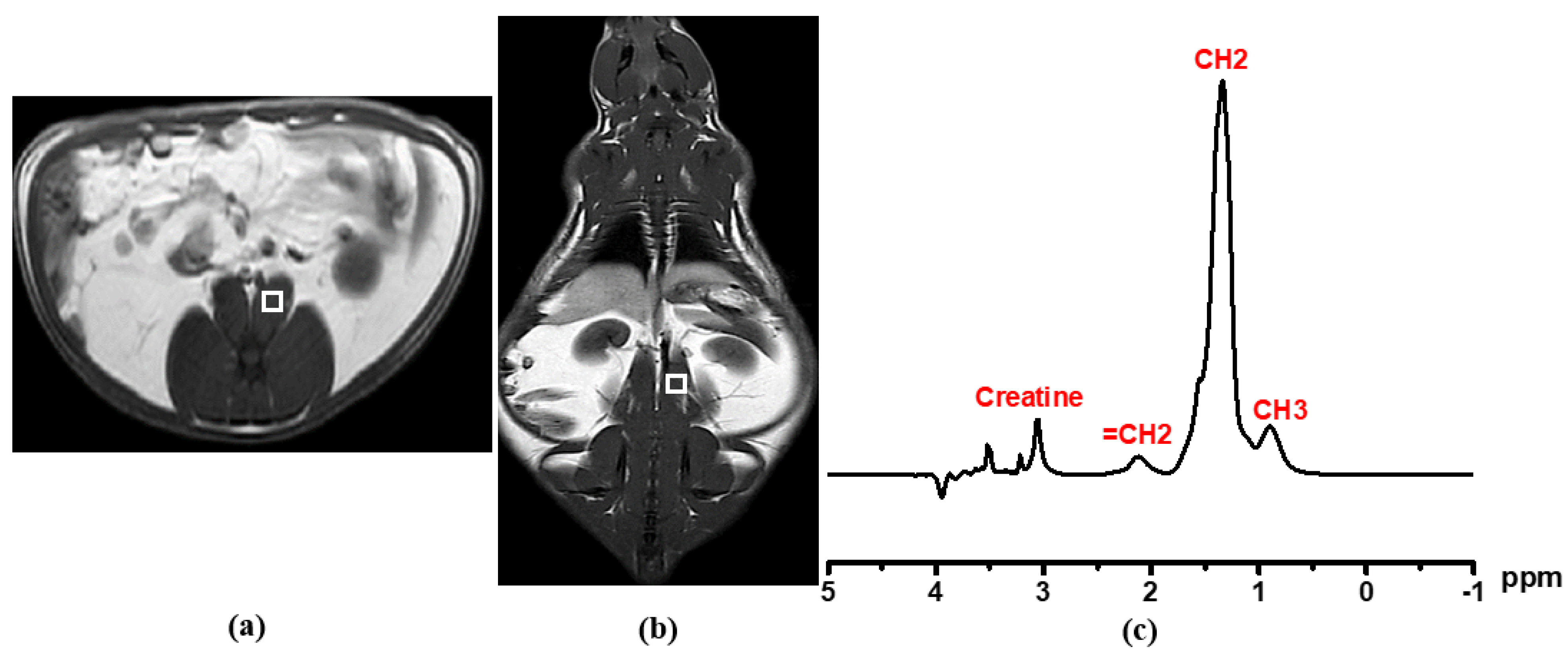 Diagnostics 12 01621 g003