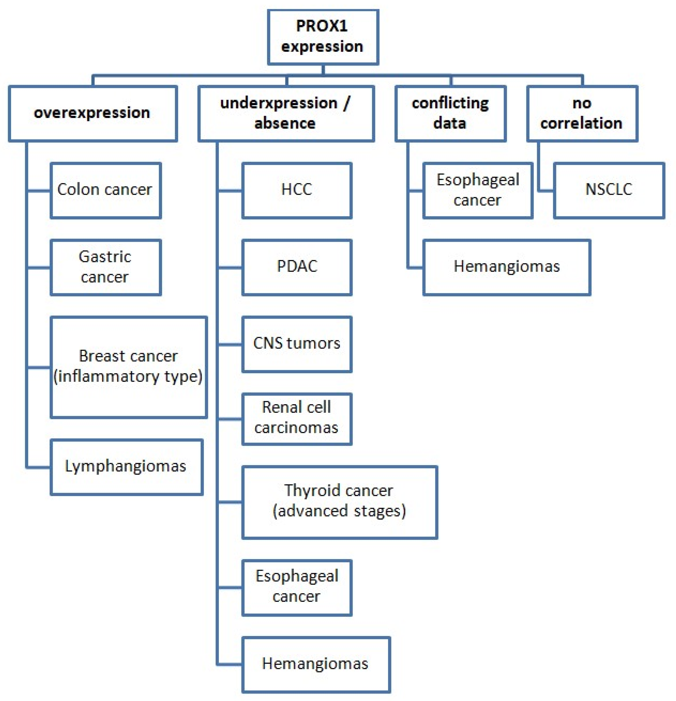 Diagnostics 12 01624 g002