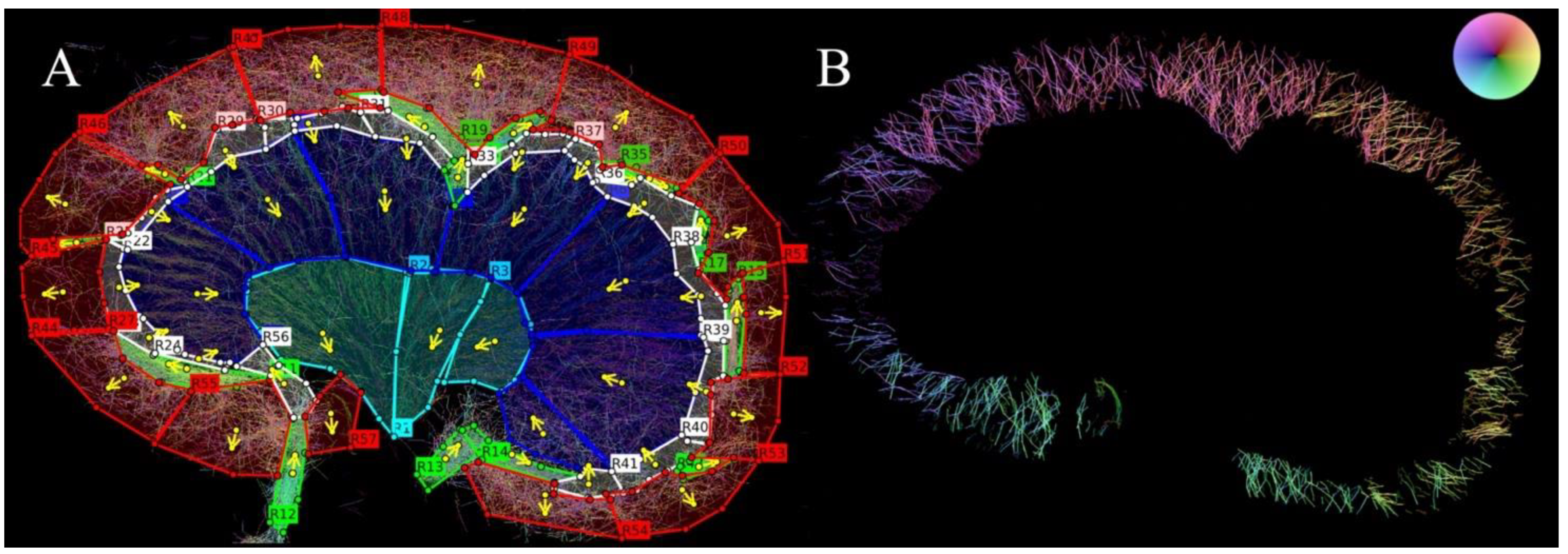 Diagnostics 12 01626 g002 Diagnostics 12 01626 g002