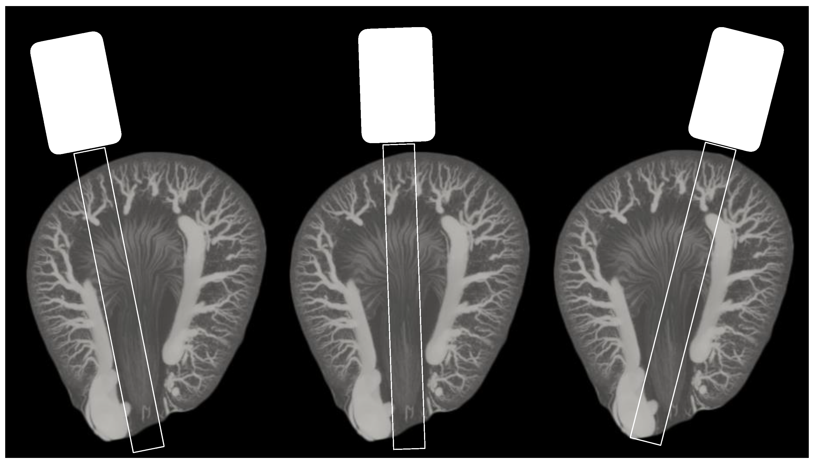 Diagnostics 12 01626 g004 Diagnostics 12 01626 g004