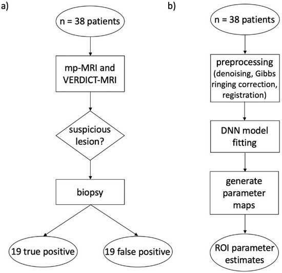 Differentiating False Positive Lesions from Clinically Significant 