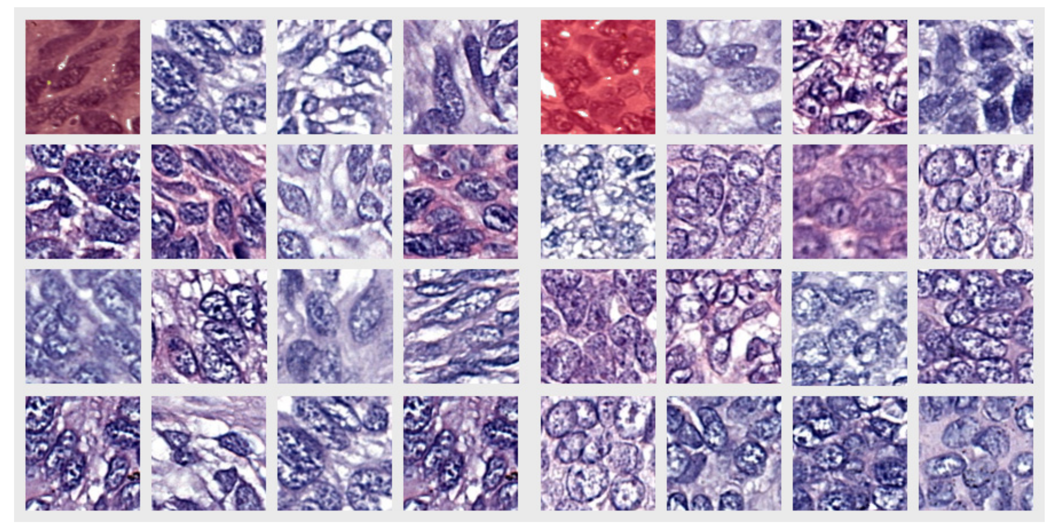 Diagnostics 12 01636 g003