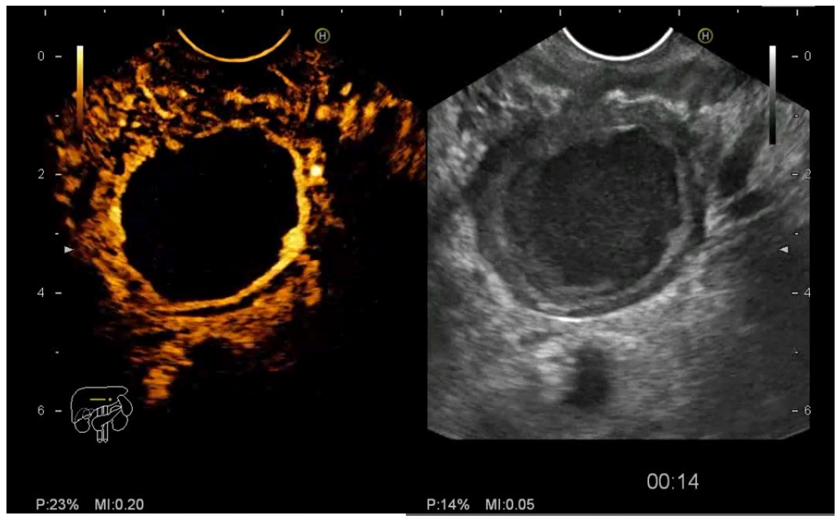Diagnostics 12 01641 g007