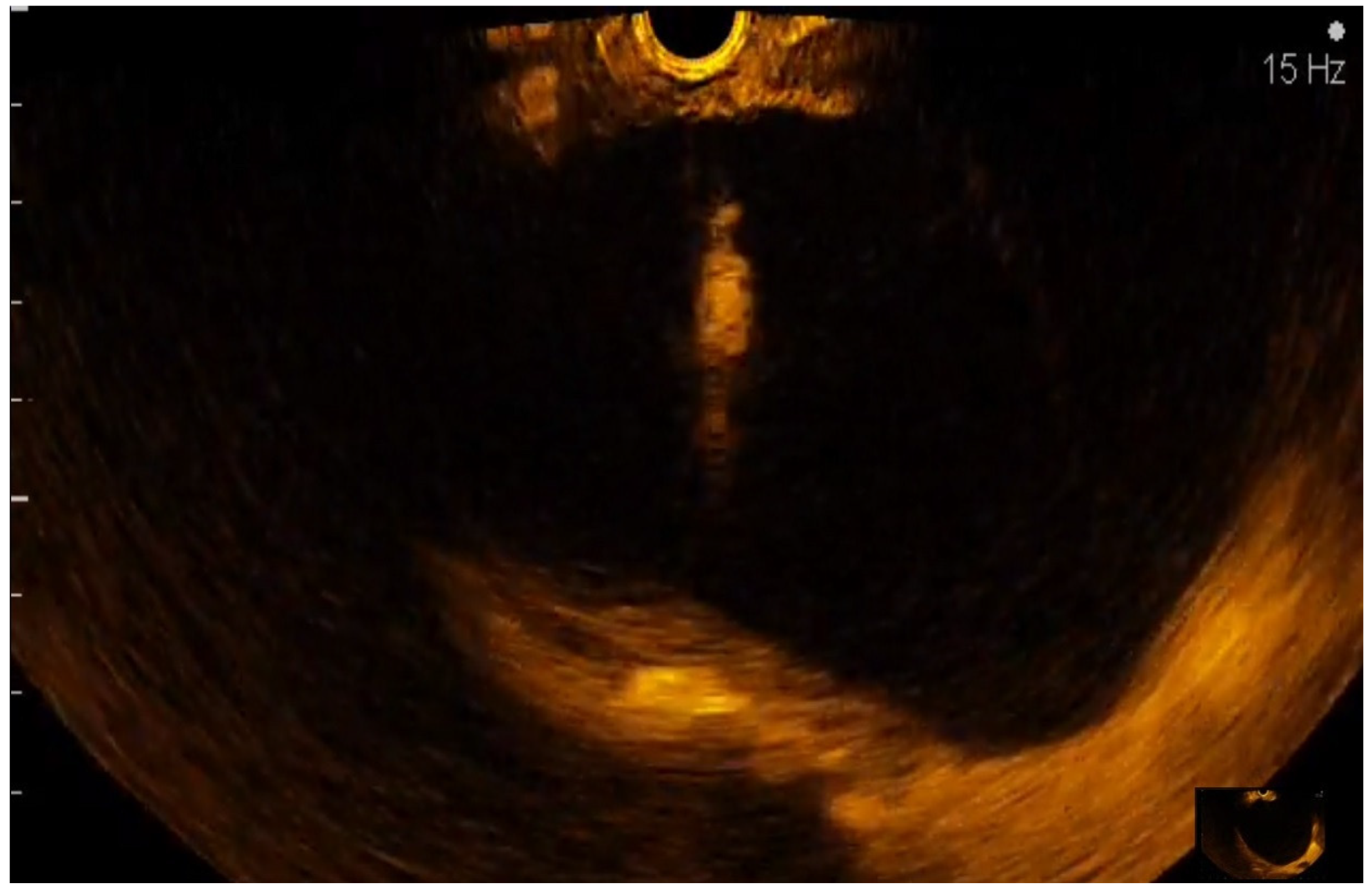 Diagnostics 12 01641 g009