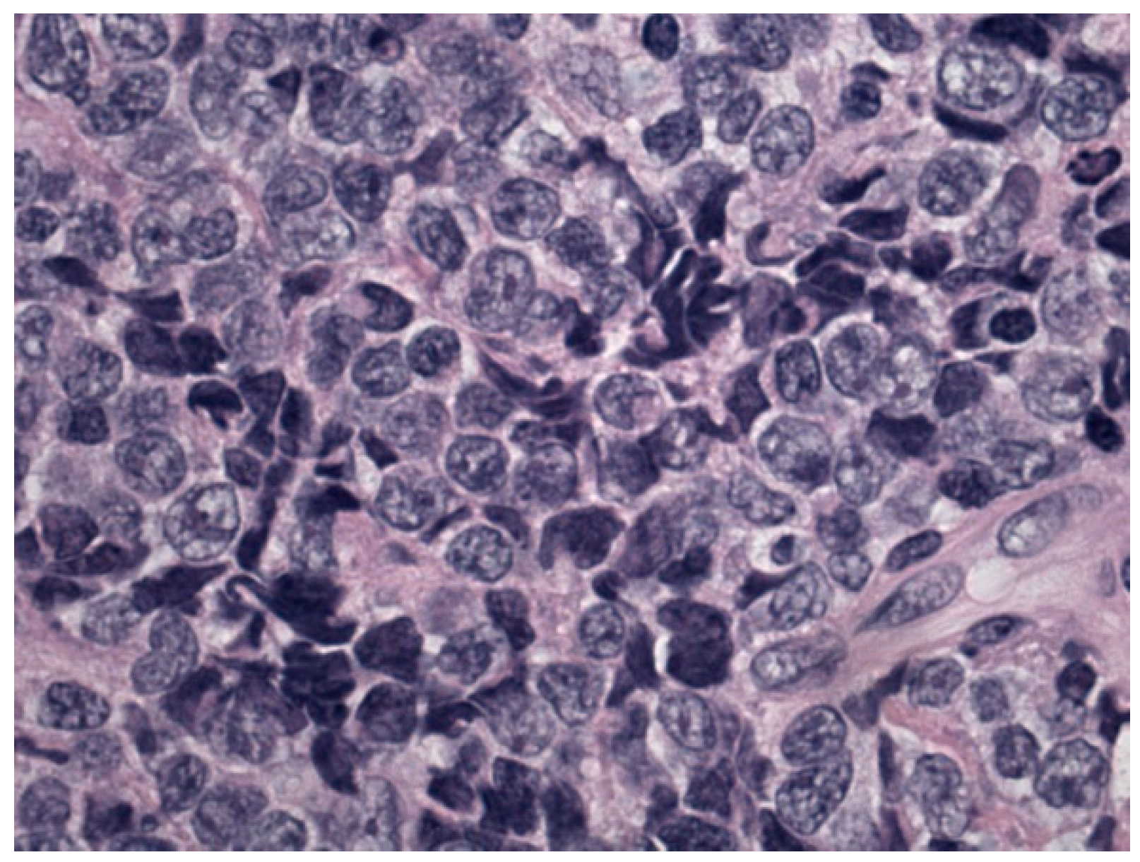 Diagnostics 12 01649 g002