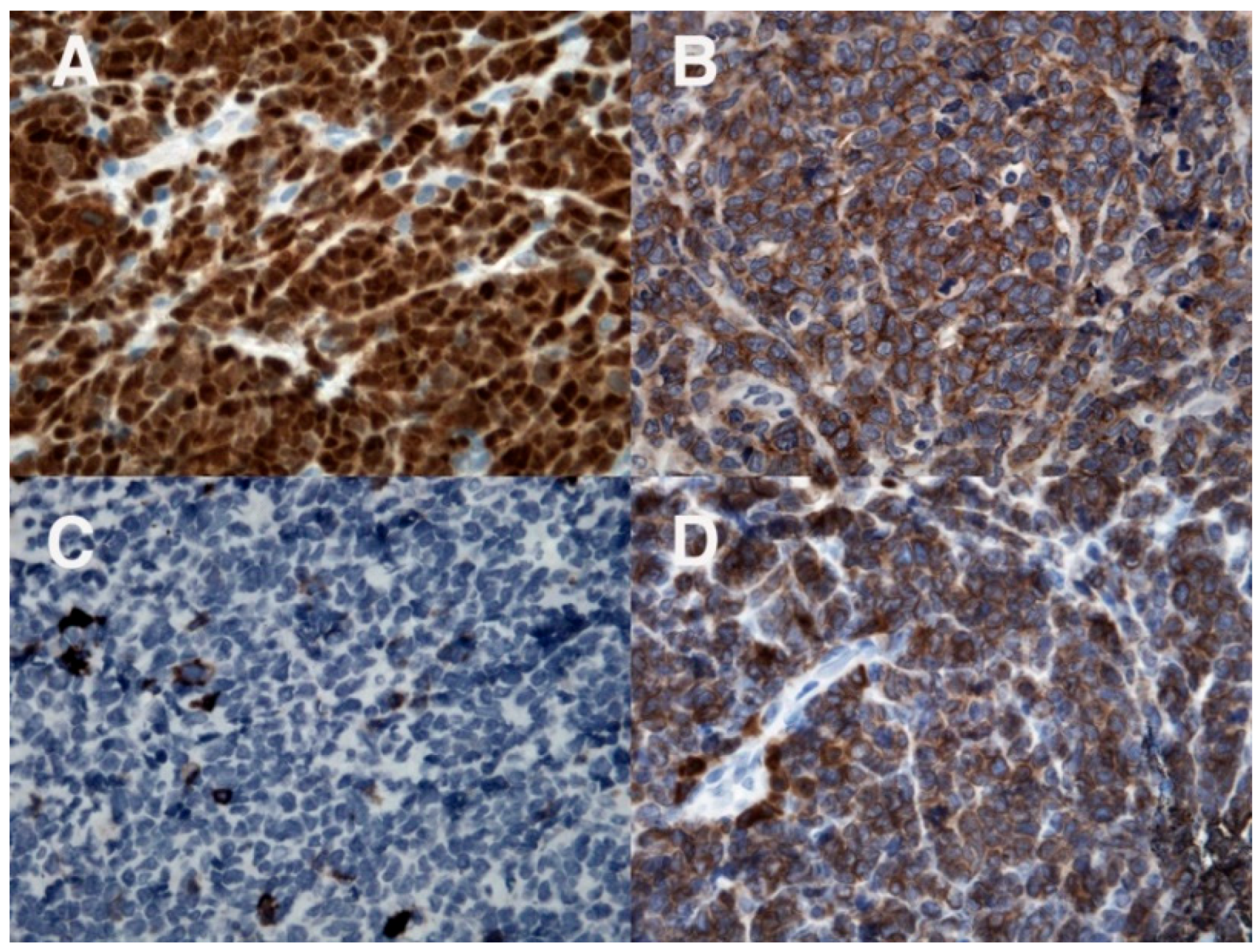 Diagnostics 12 01649 g003