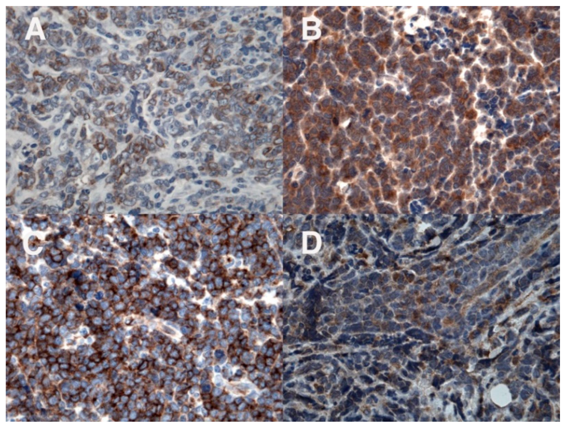 Diagnostics 12 01649 g004