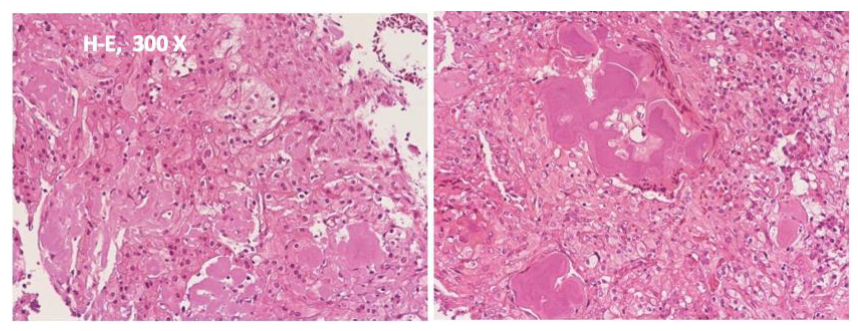 Diagnostics 12 01651 g003 550