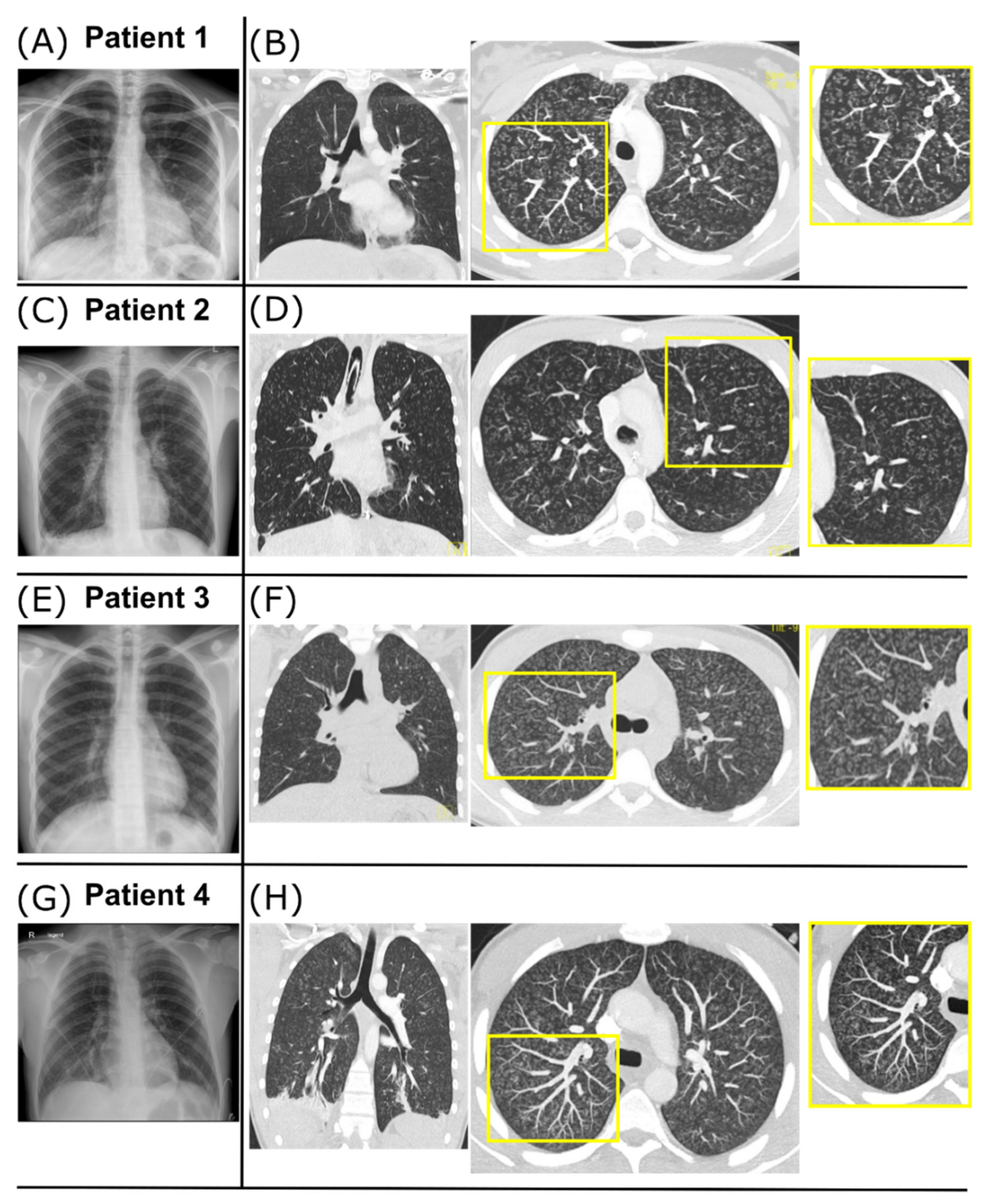 Diagnostics 12 01653 g002