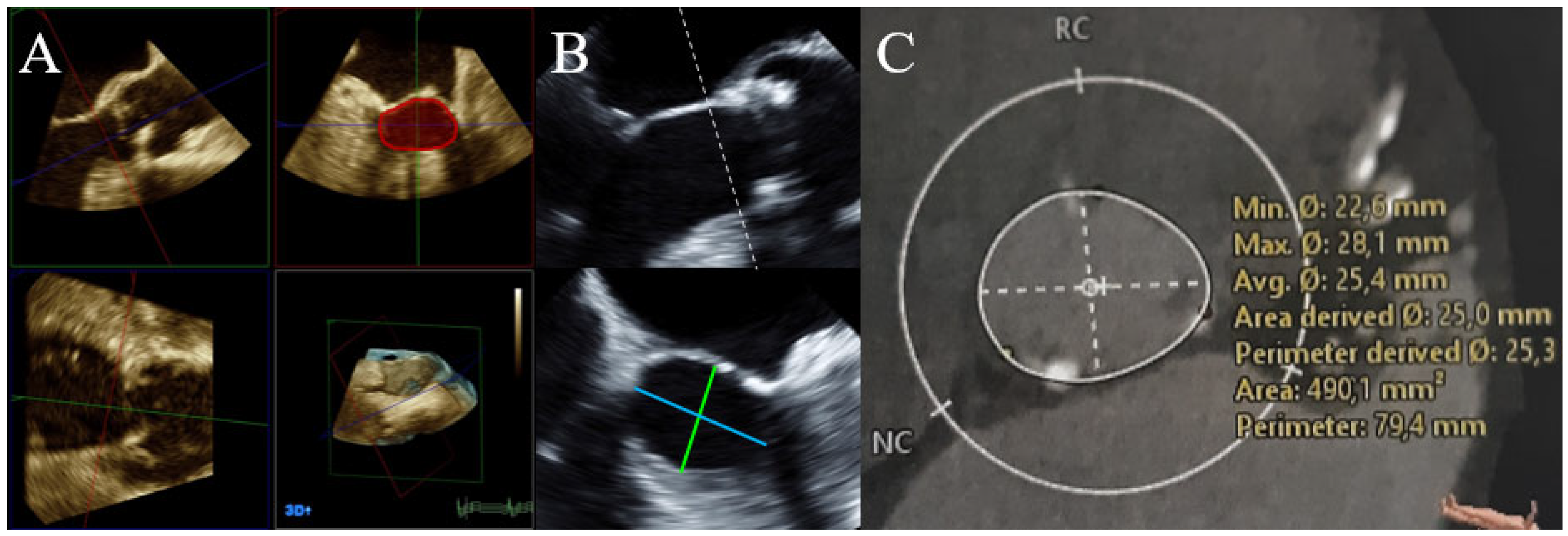 Diagnostics 12 01656 g001