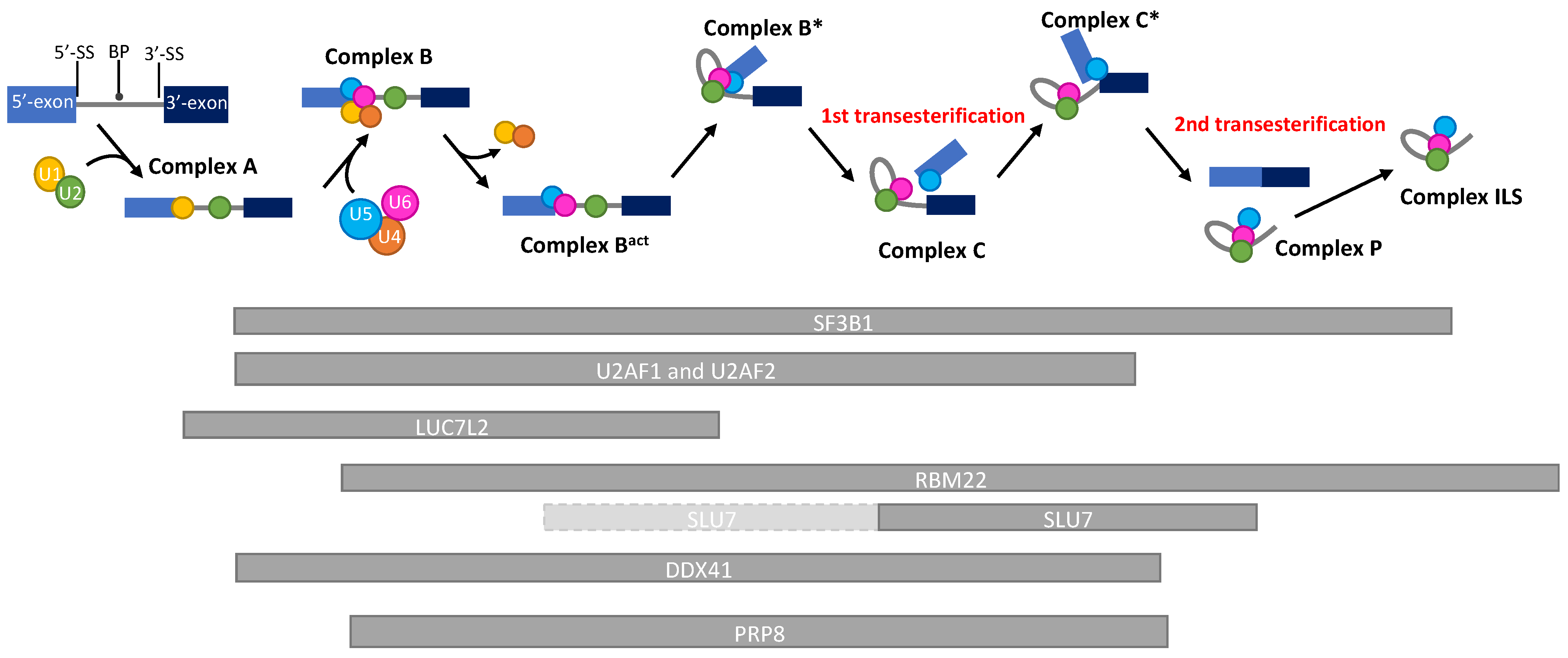 Diagnostics 12 01658 g002
