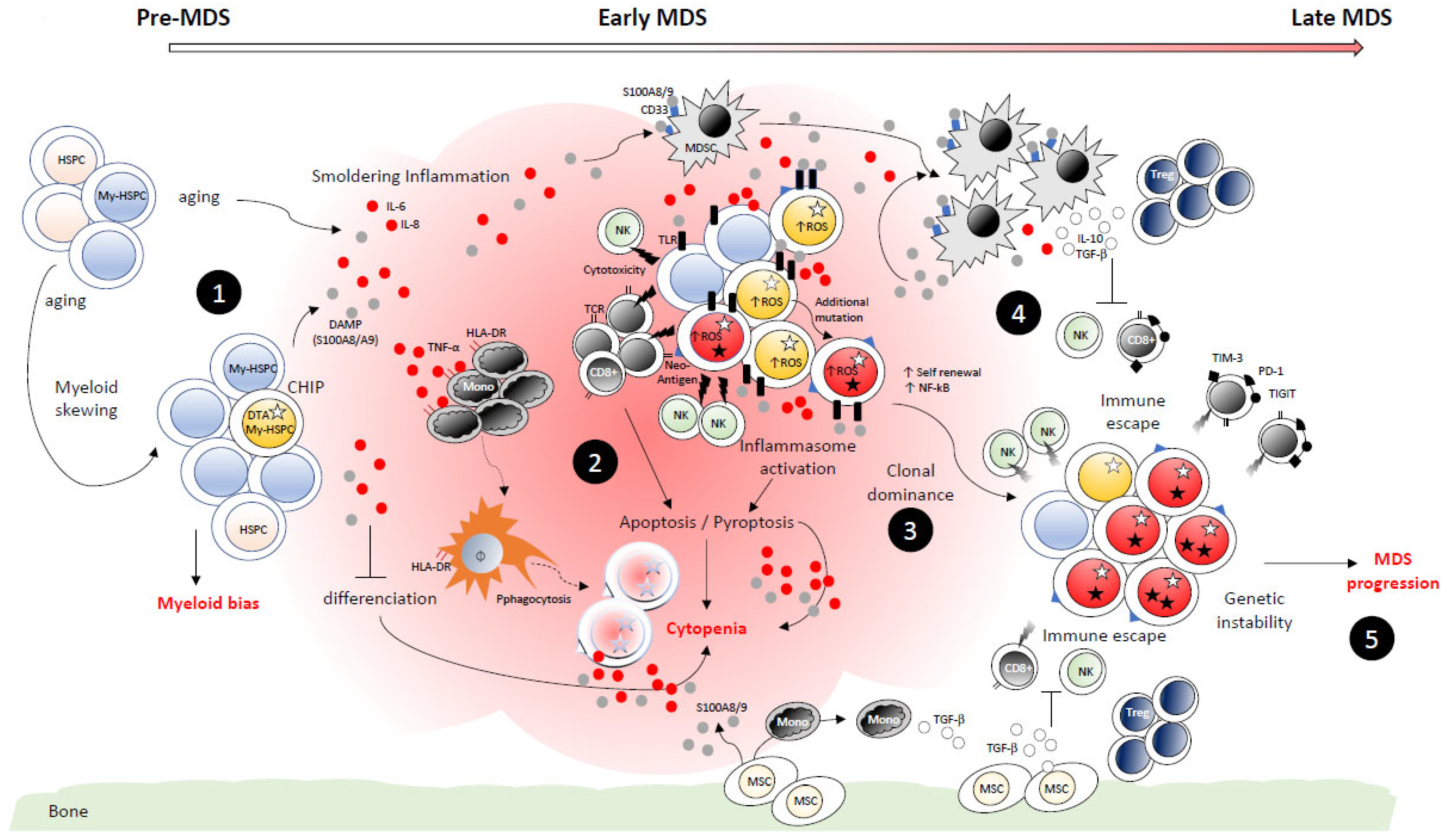 Diagnostics 12 01659 g003 Diagnostics 12 01659 g003