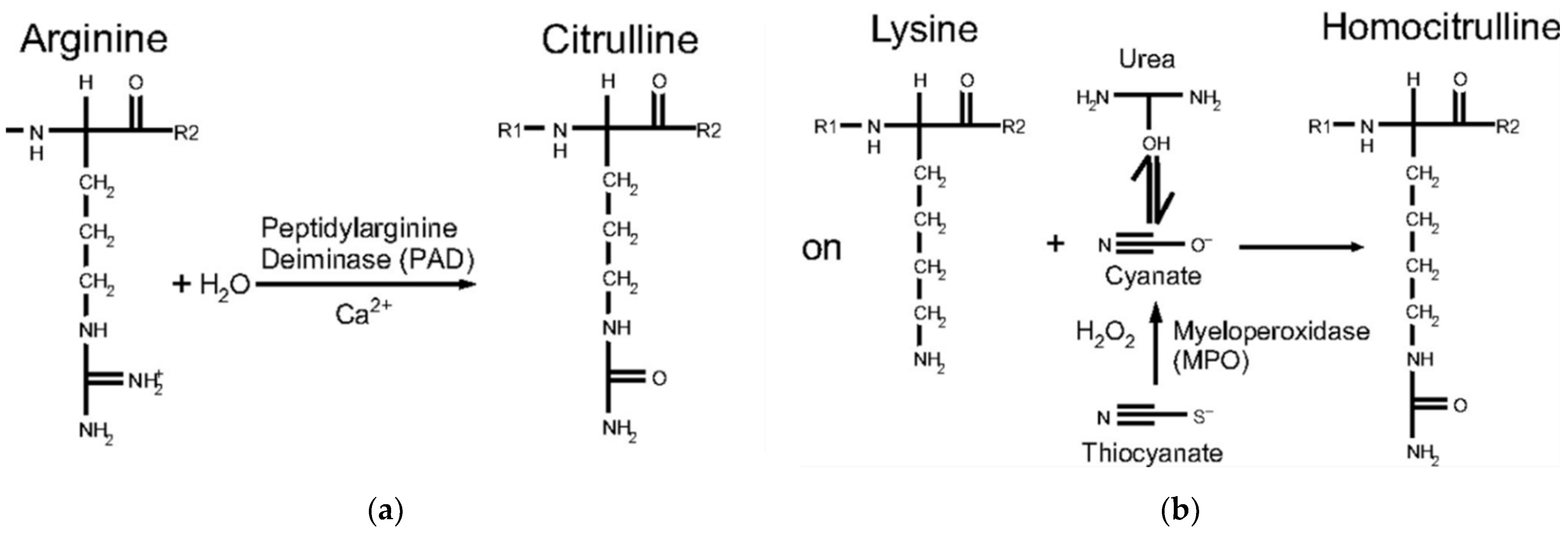 Diagnostics 12 01661 g001