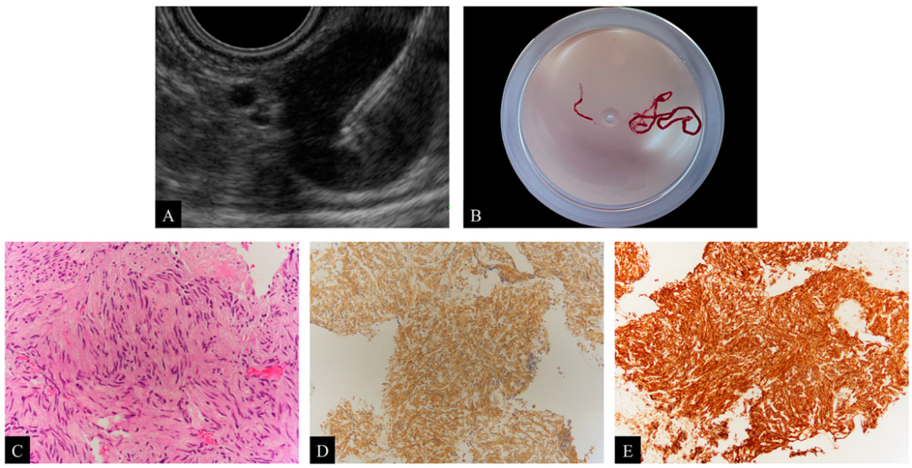 Diagnostics 12 01667 g002 Diagnostics 12 01667 g002