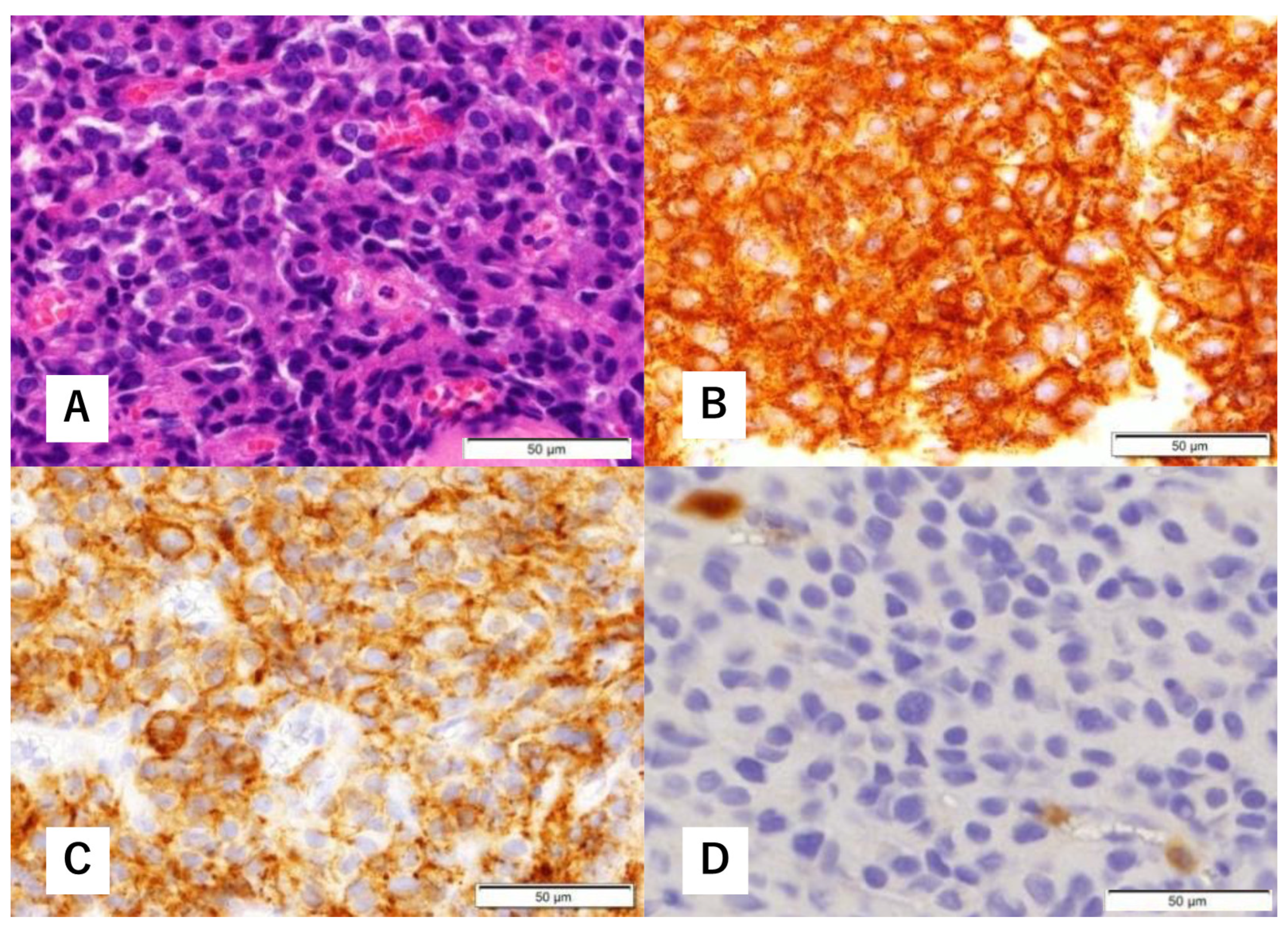 Diagnostics 12 01674 g003