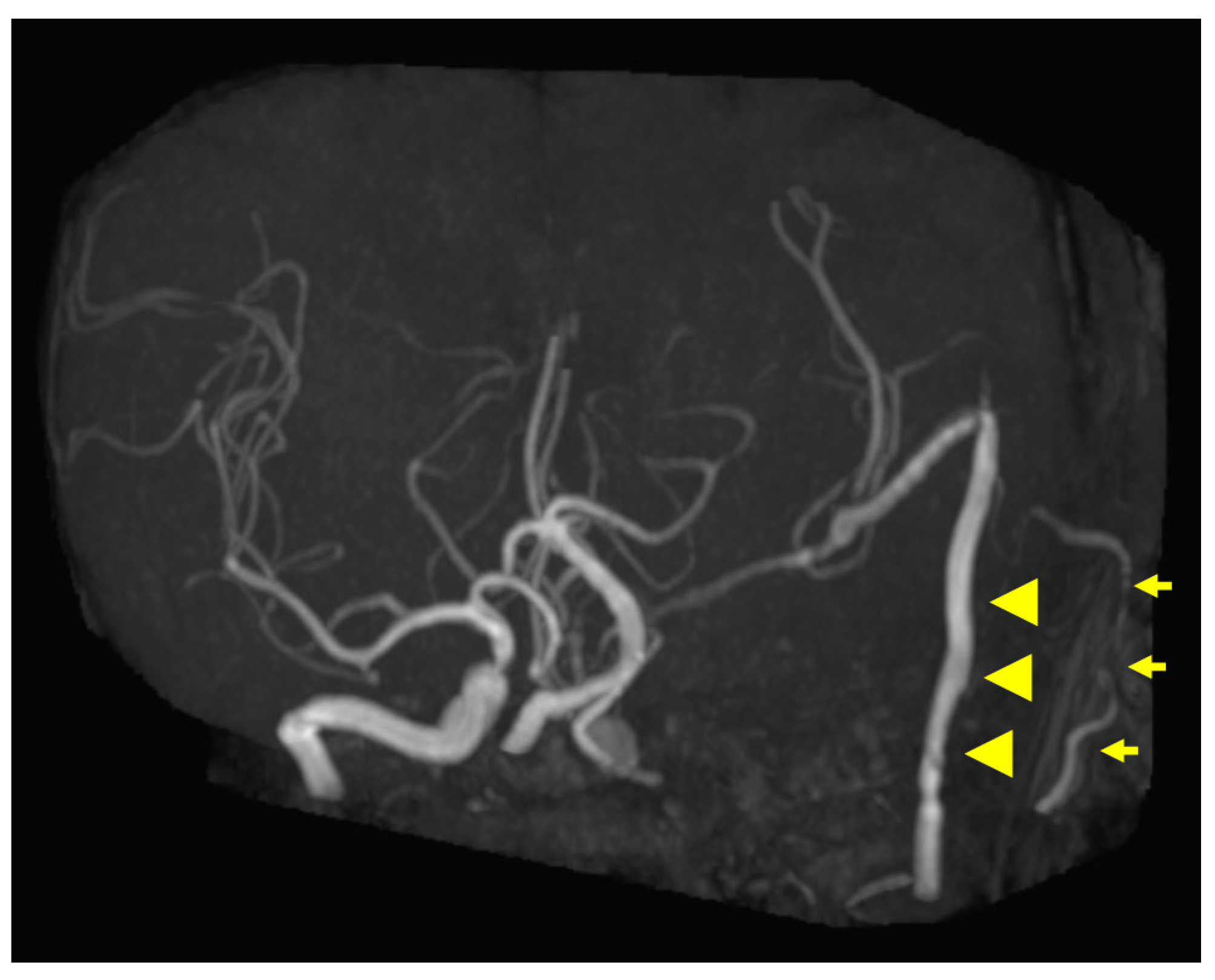 Diagnostics 12 01674 g005